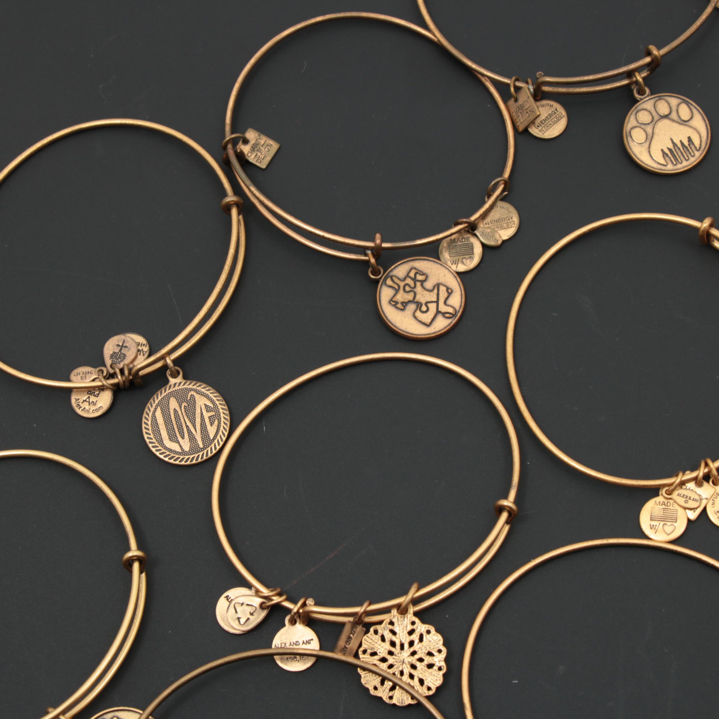 Alex & Ani (+) Energy Bracelets