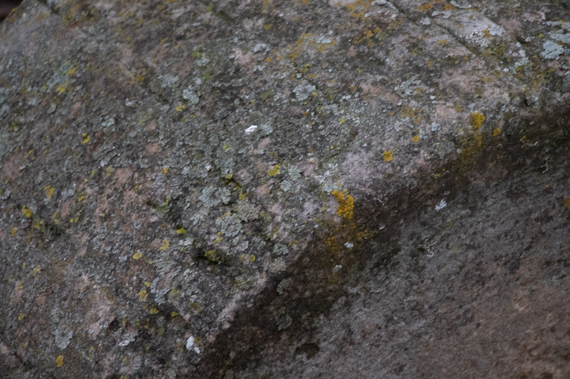 Cement Wheel From Hamilton Ohio Factory Cart