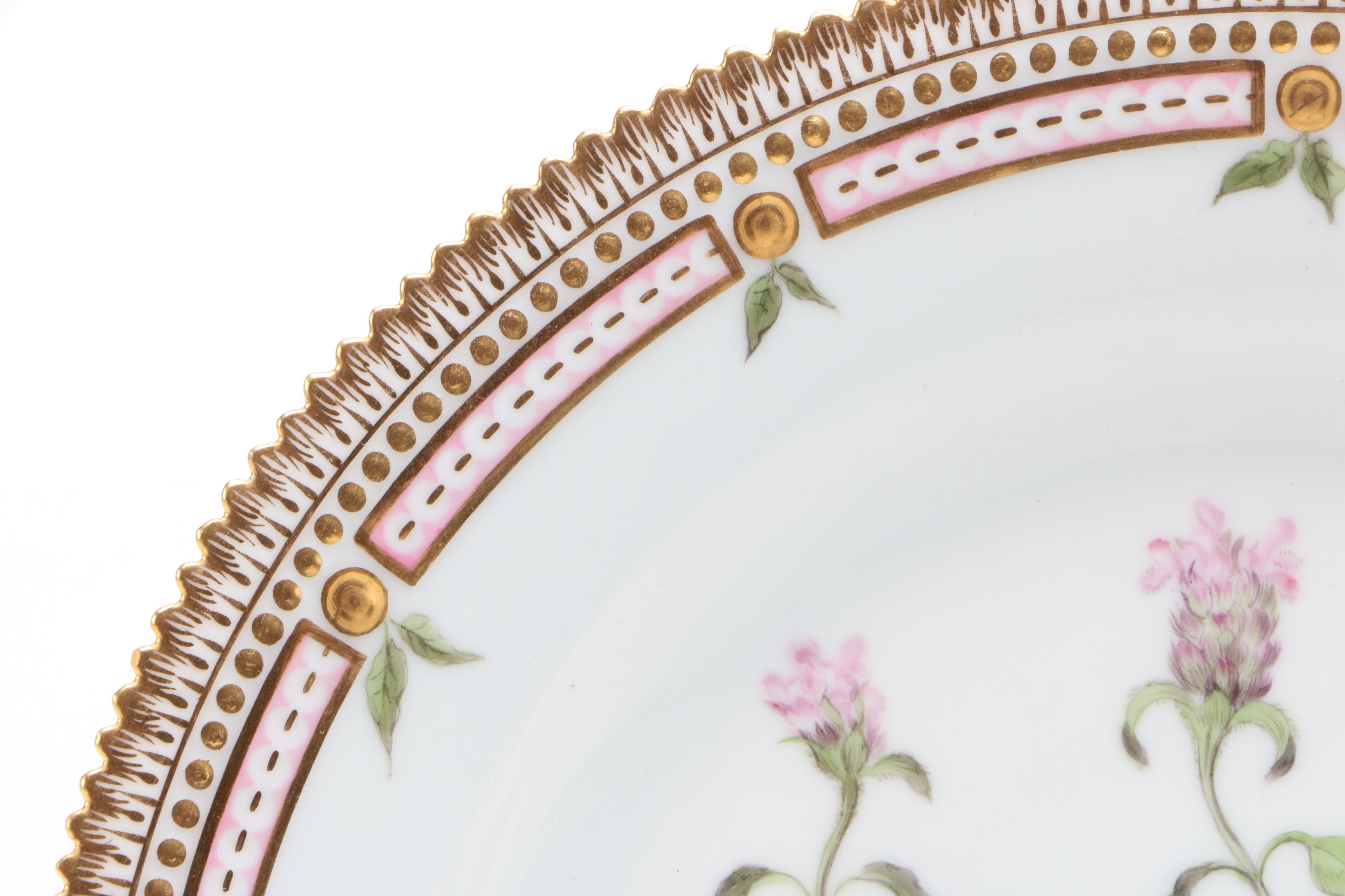 Royal Copenhagen "Flora Danica" Botanical Plate, 1870-90