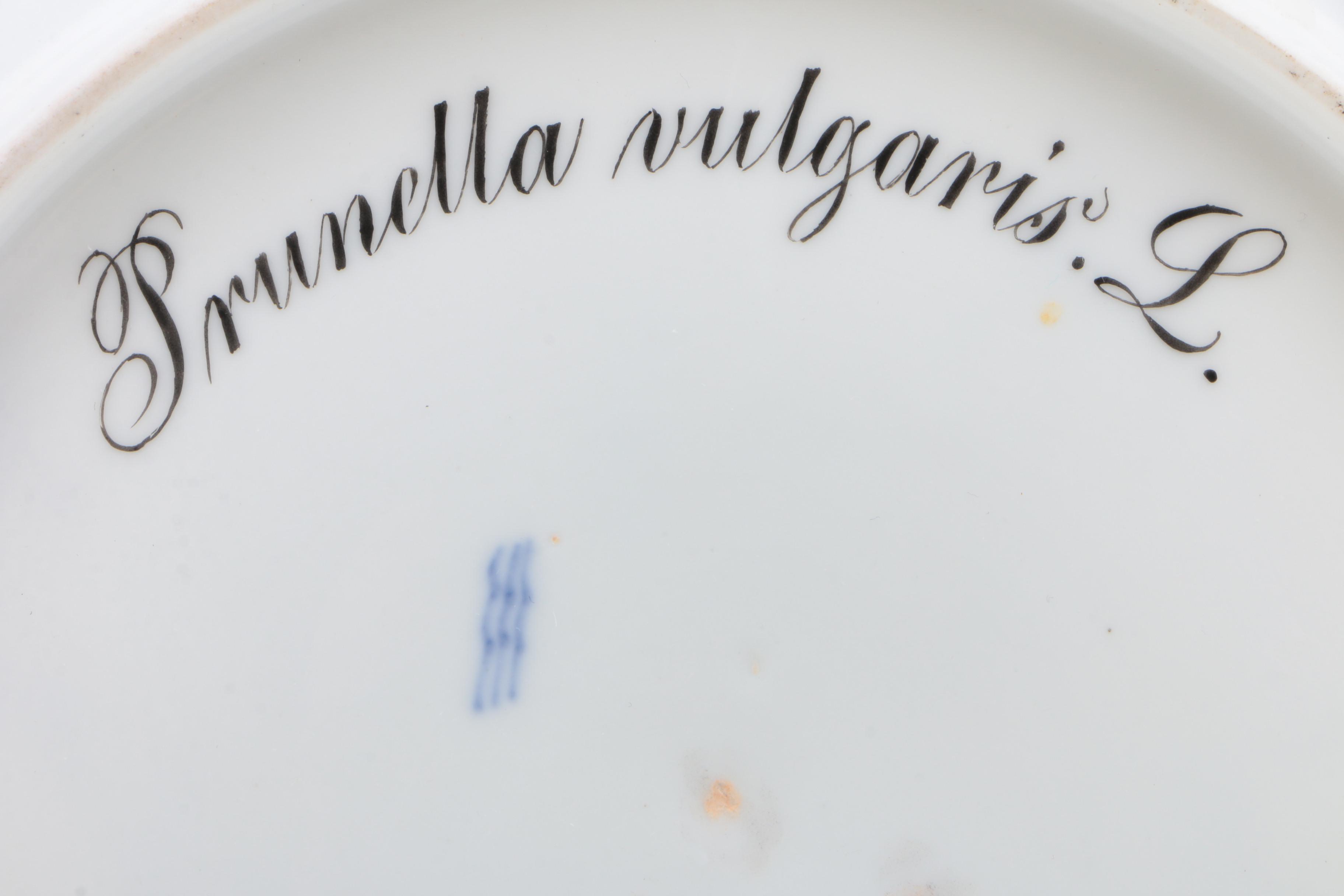 Royal Copenhagen "Flora Danica" Botanical Plate, 1870-90