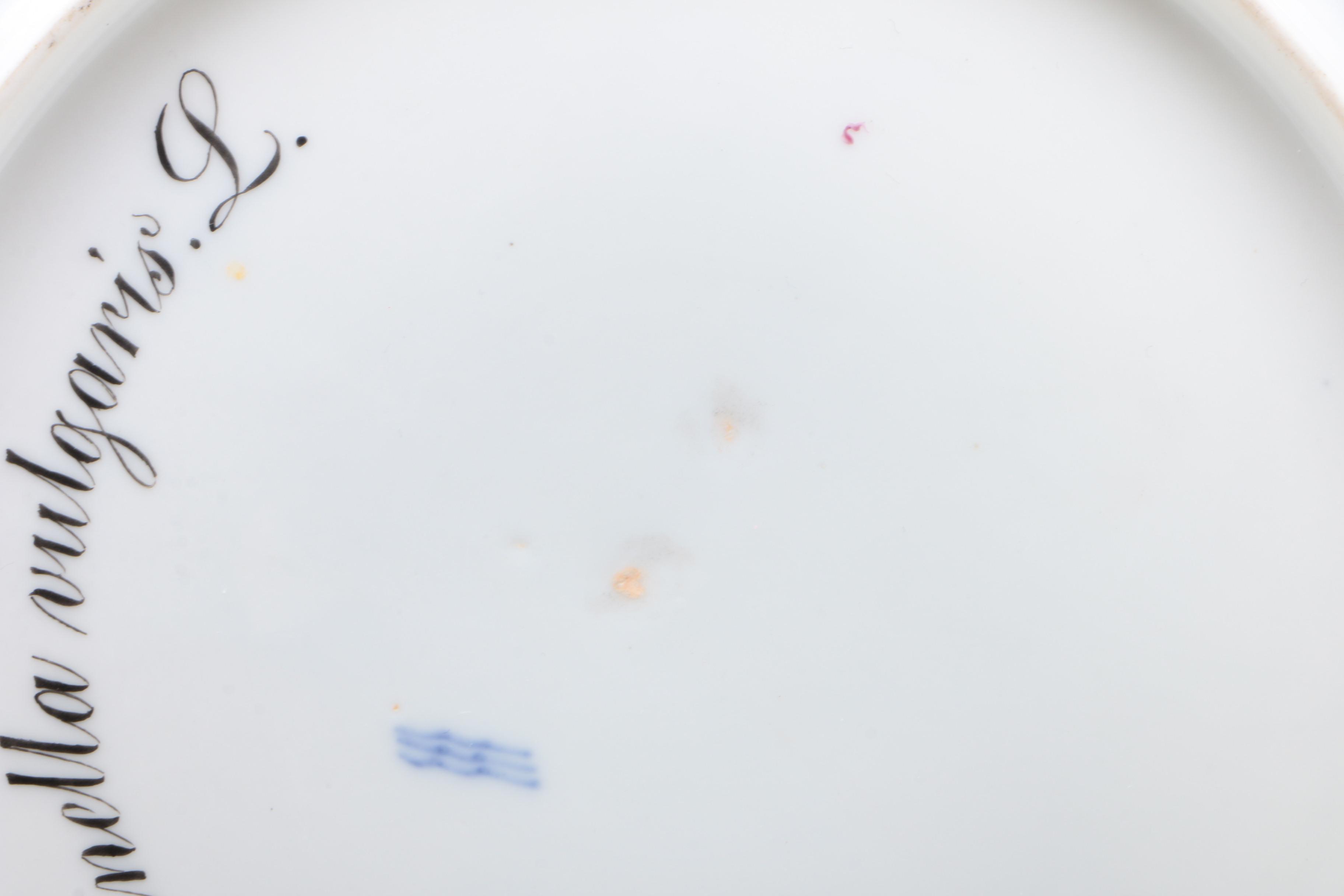 Royal Copenhagen "Flora Danica" Botanical Plate, 1870-90