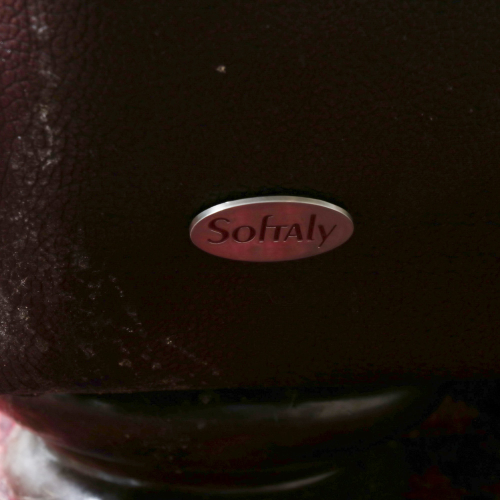 Softaly Brown Leather Sofa with Nailhead Accents