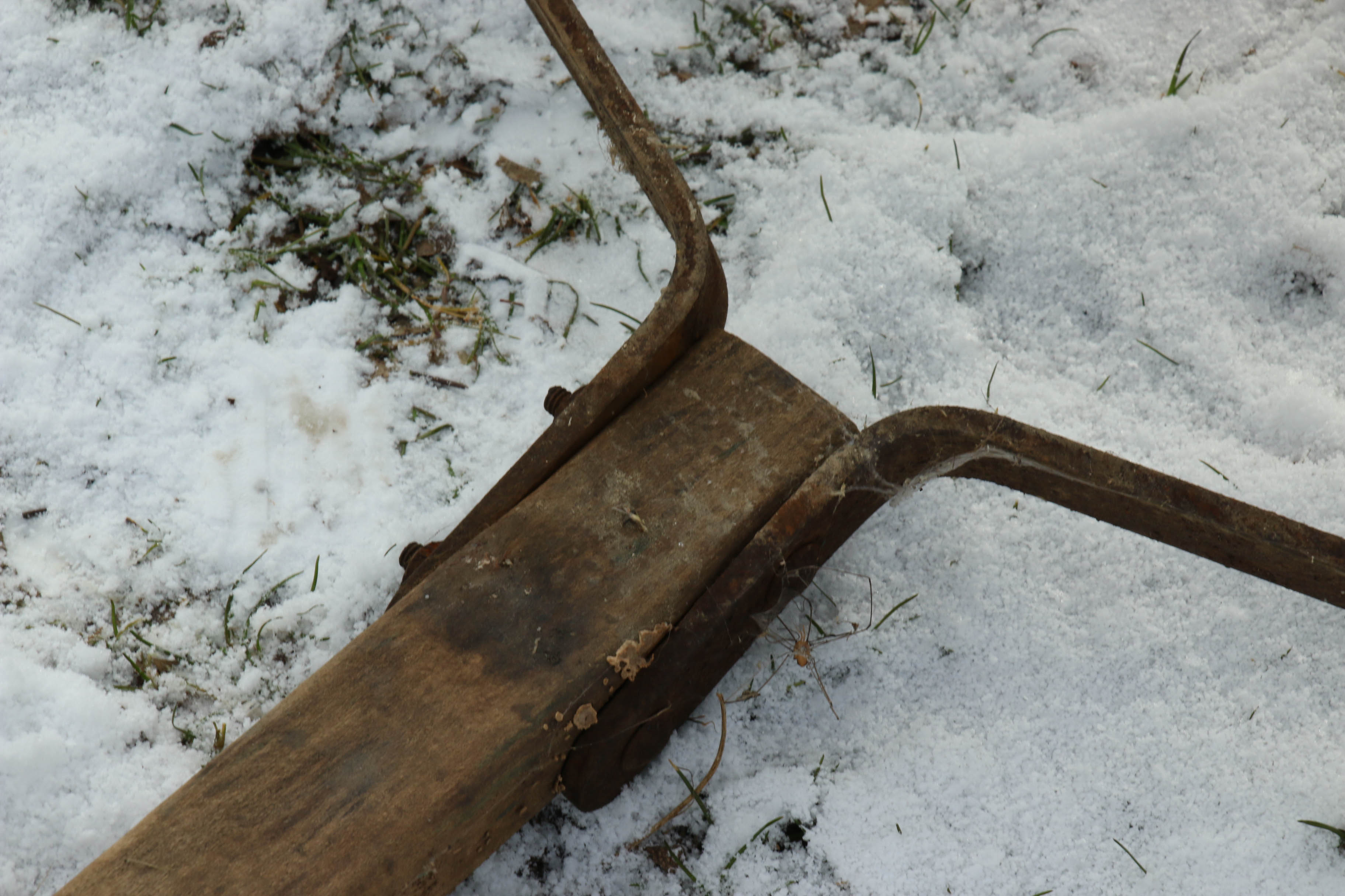 Dillie & McGuire Push Reel Lawn Mower, Early 20th Century