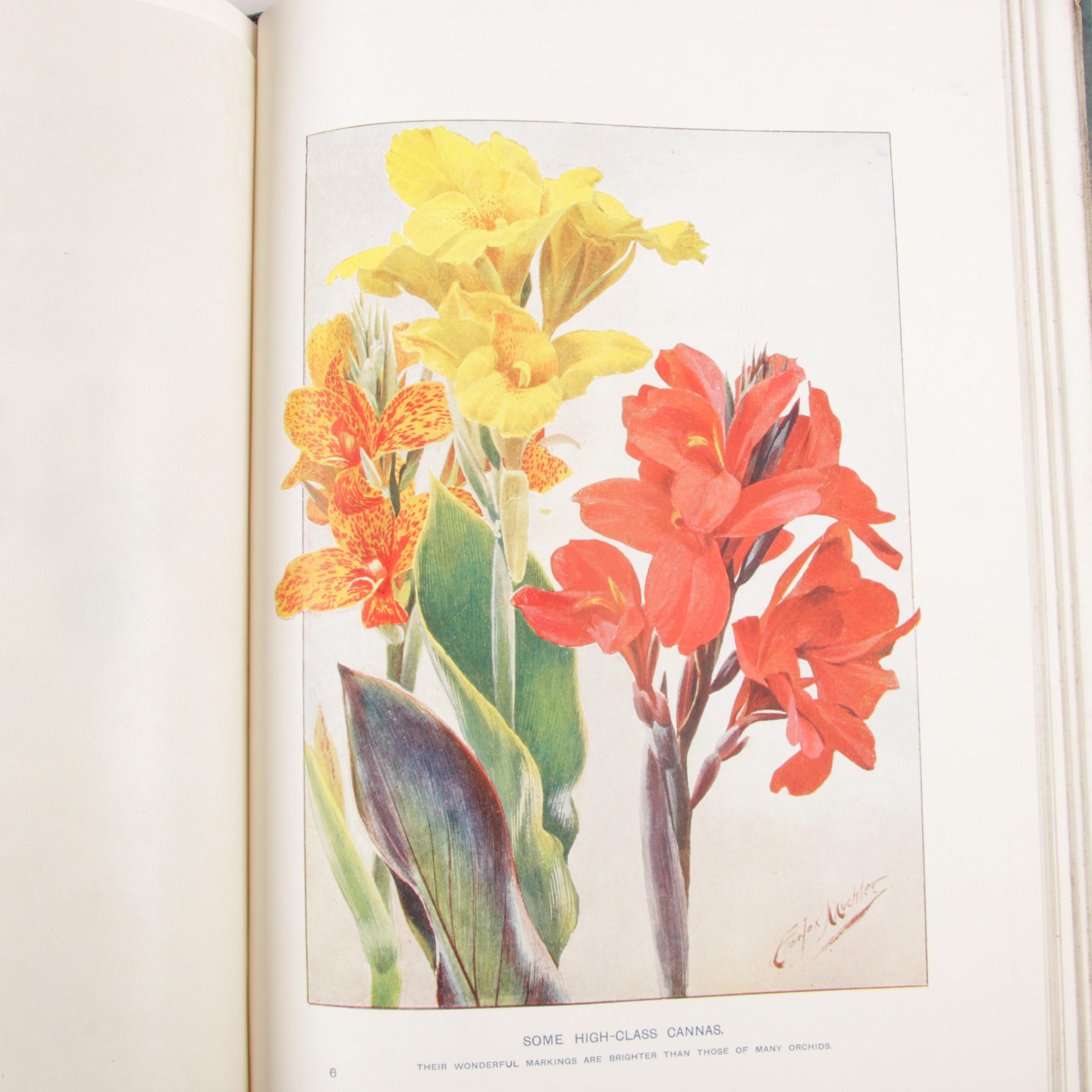 "Cassell's Dictionary of Practical Gardening" Special Edition Four-Volume Set