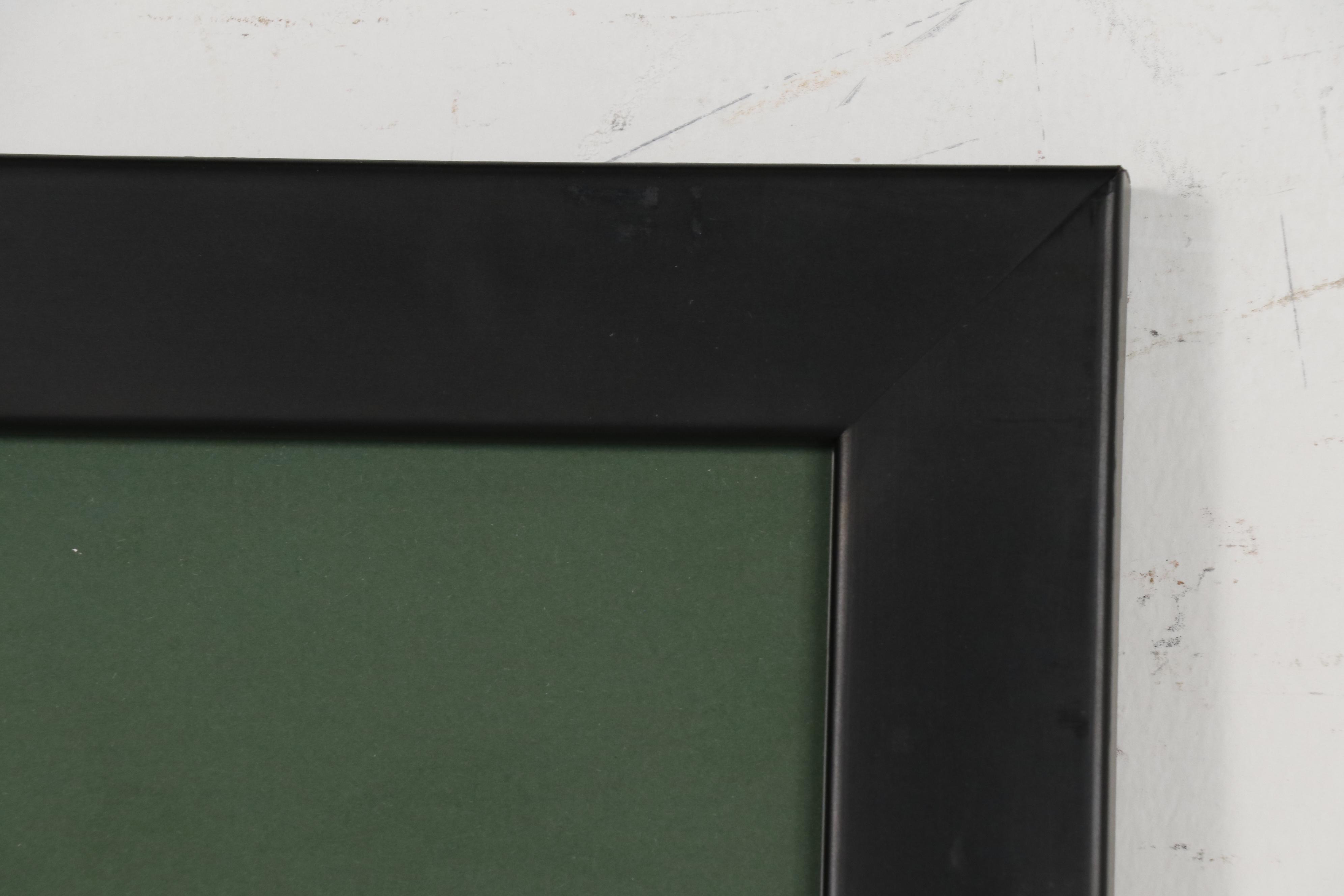 "Teenage Mutant Ninja Turtles" Animation Production Cel and Drawing