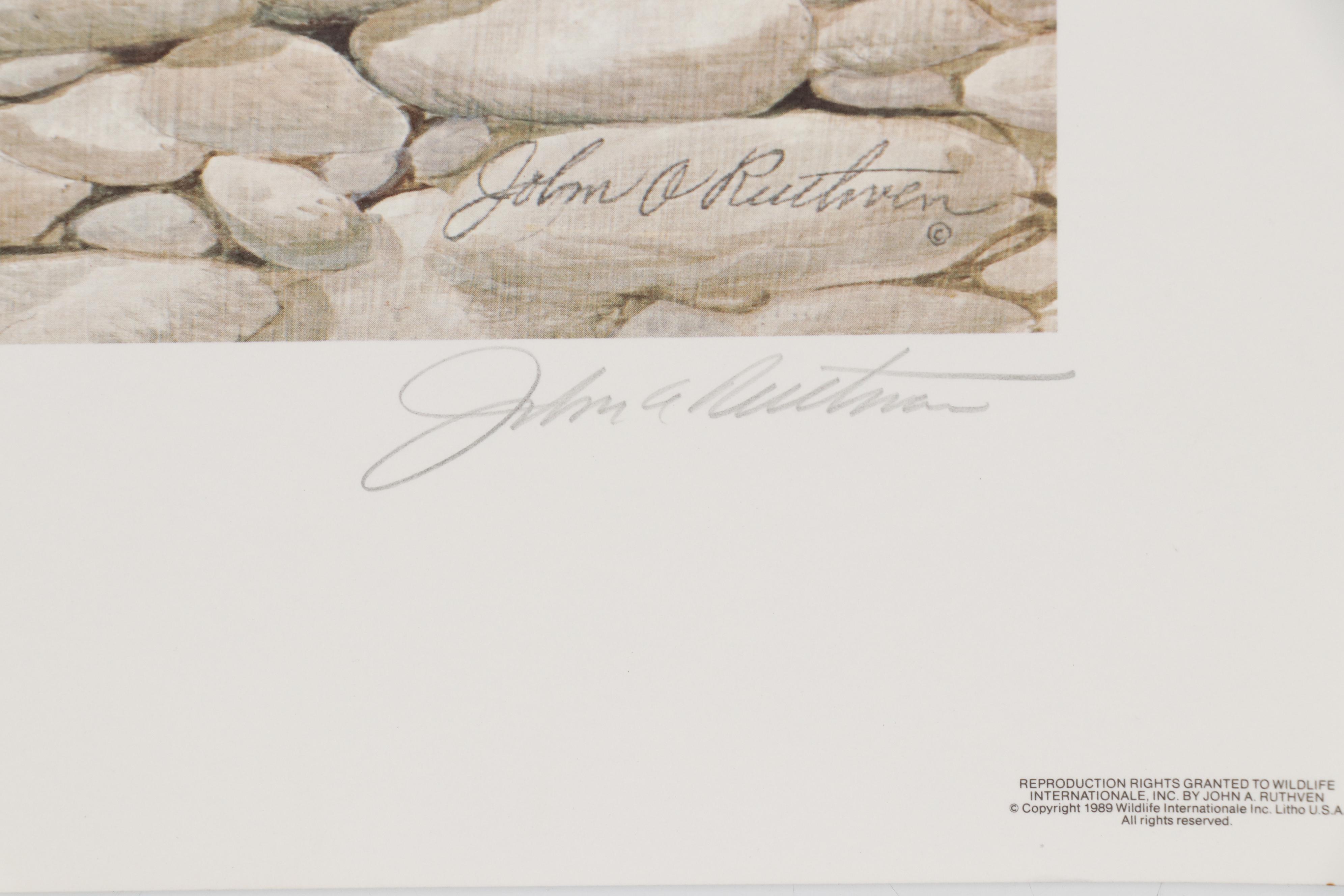 John Ruthven Offset Lithograph "Shawnee Indian"