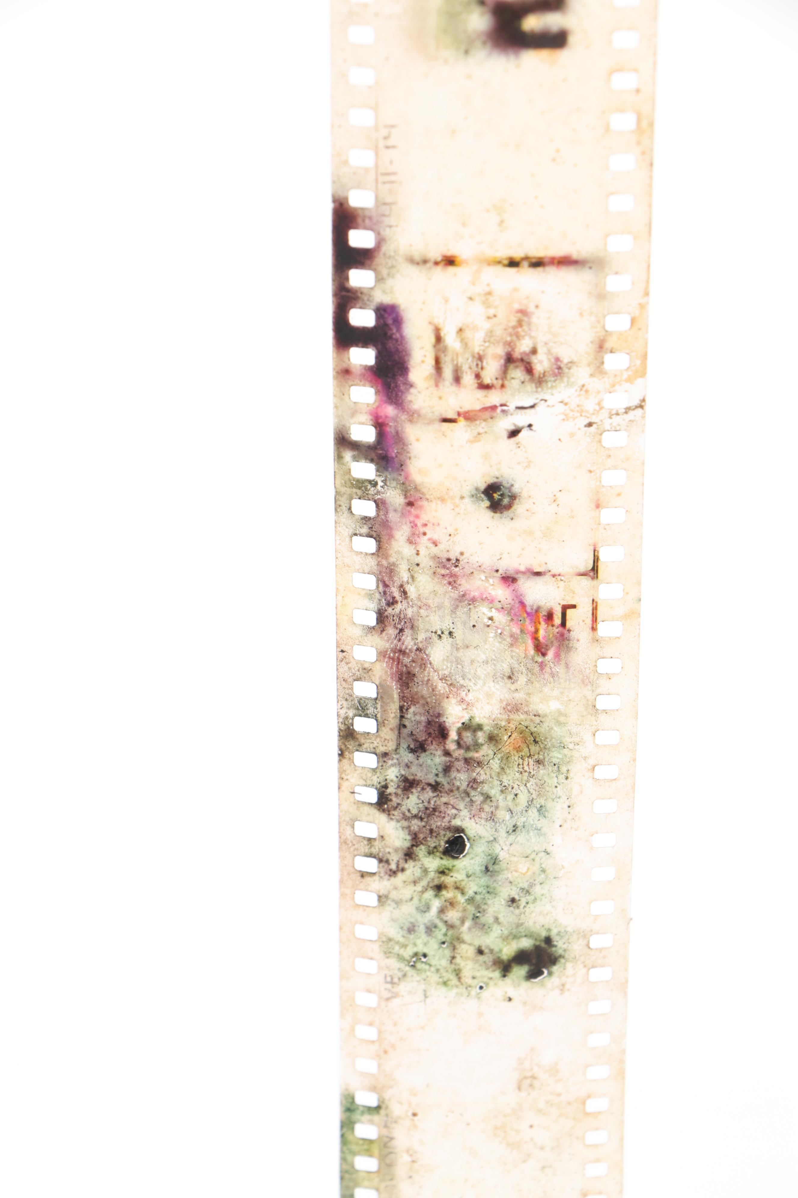 Three Hollywood Film Company Reel Cases, Mid-20th Century