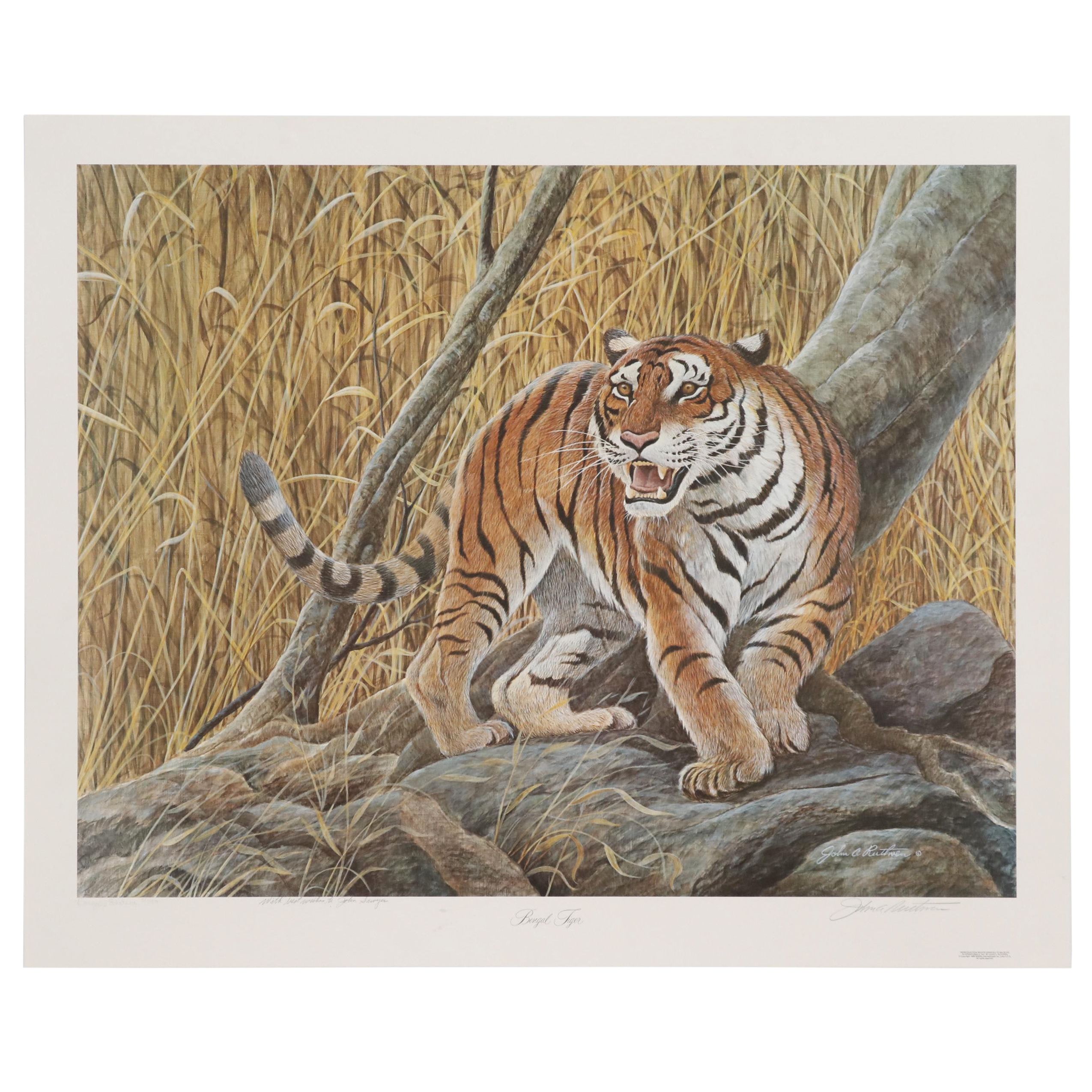 John Ruthven Bengal's Edition Offset Lithograph "Bengal Tiger"