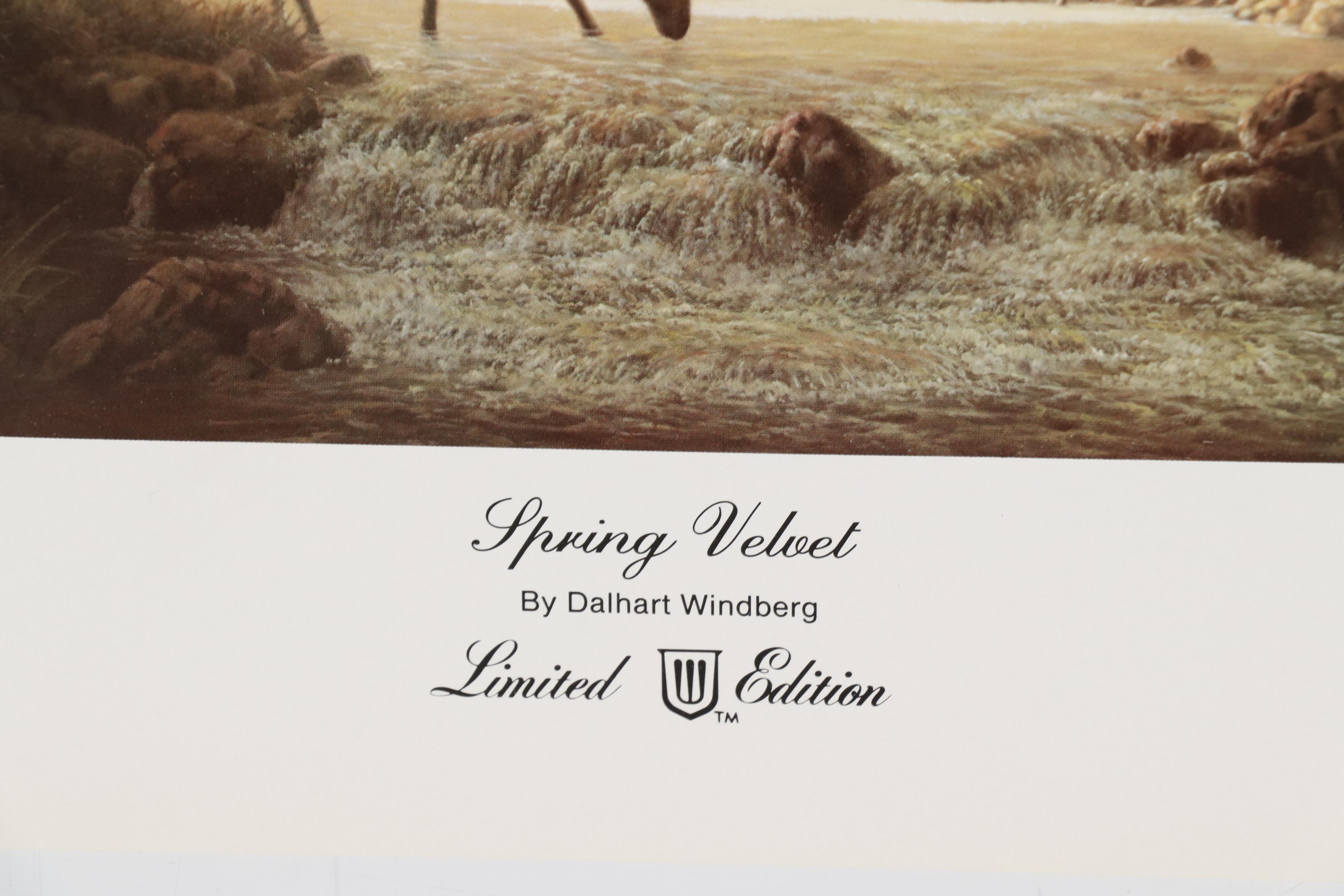 Dalhart Windberg Offset Lithograph "Spring Velvet"