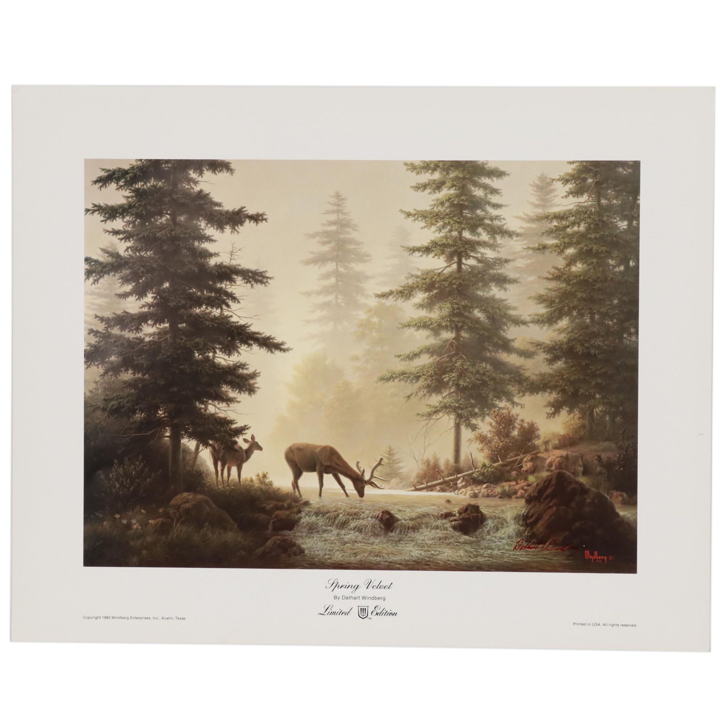 Dalhart Windberg Offset Lithograph "Spring Velvet"