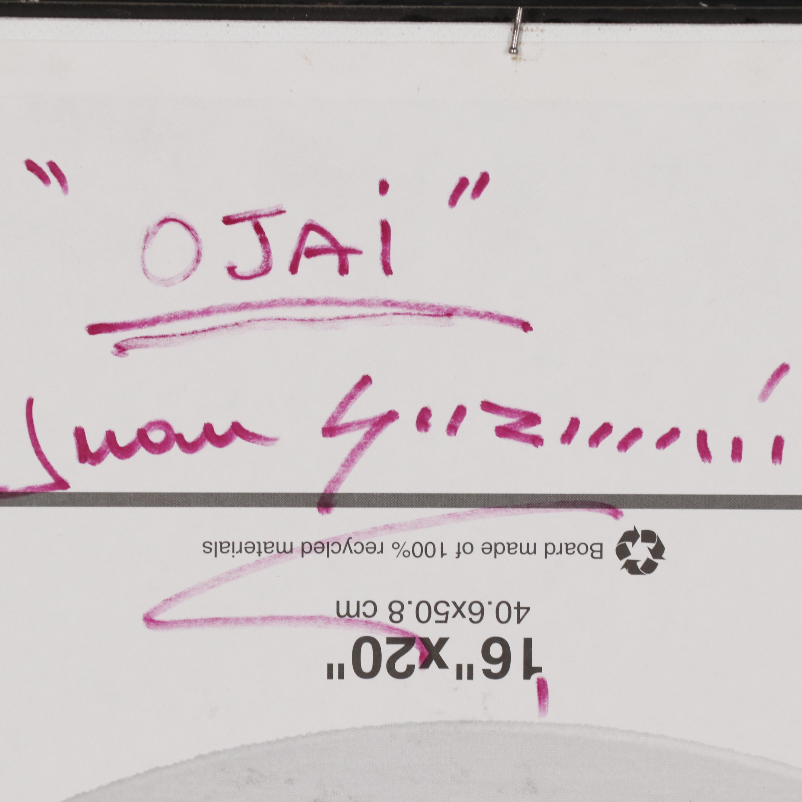 Juan Guzman-Maldonado Abstract Landscape Oil Painting "Ojai"