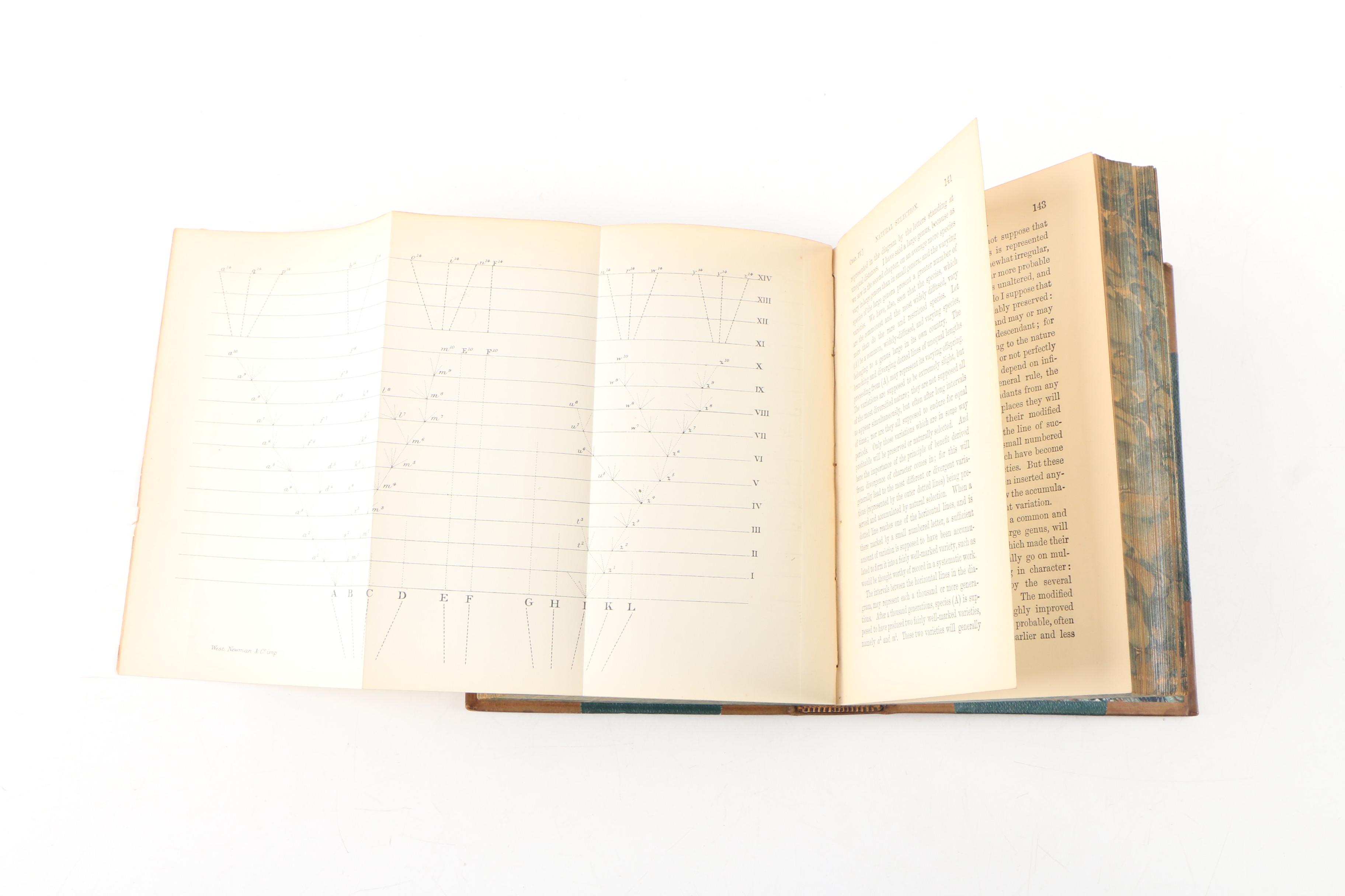 1890 "The Origin of Species" by Charles Darwin, Finely Bound Two-Volume Set