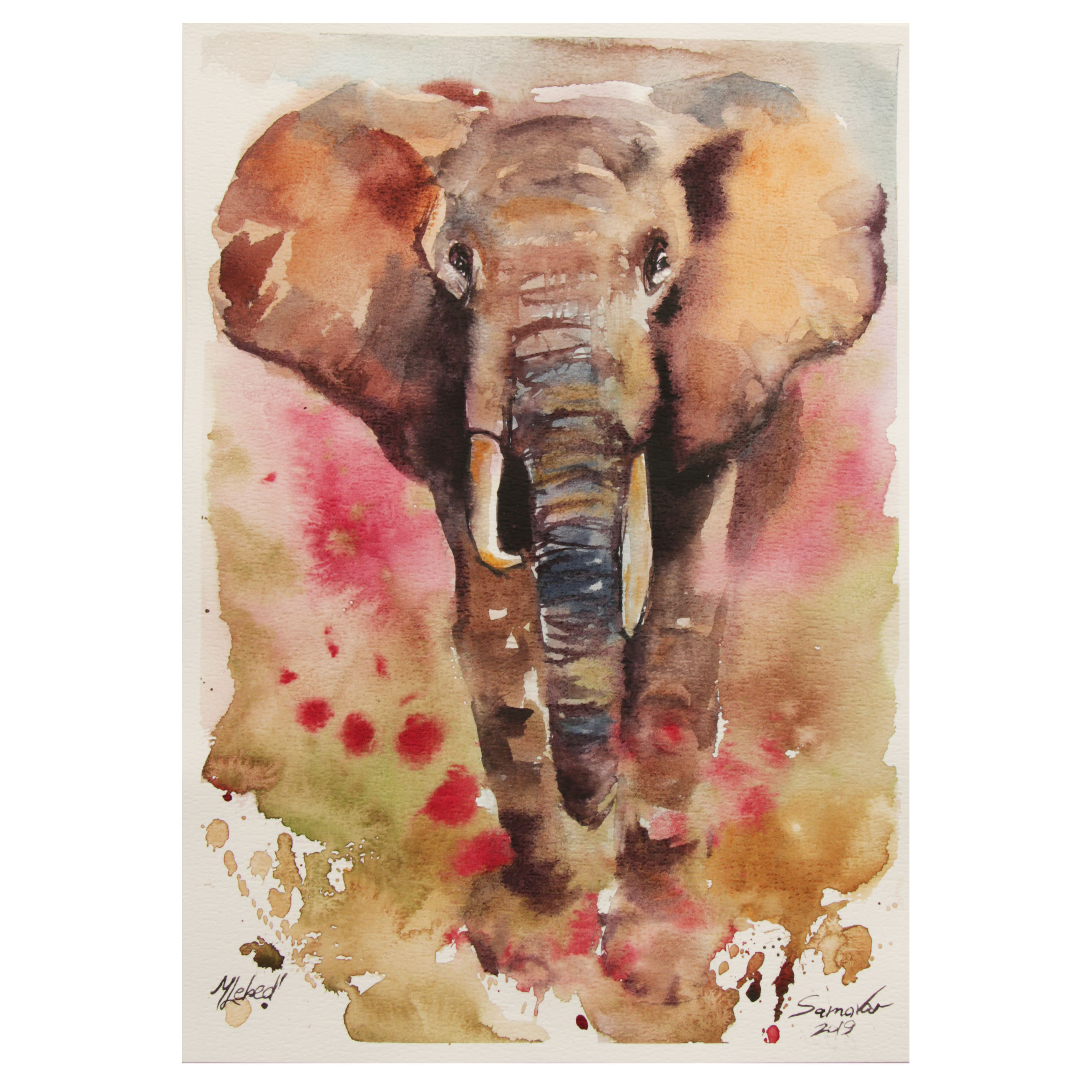 Marina Lebed Watercolor Painting of Elephant