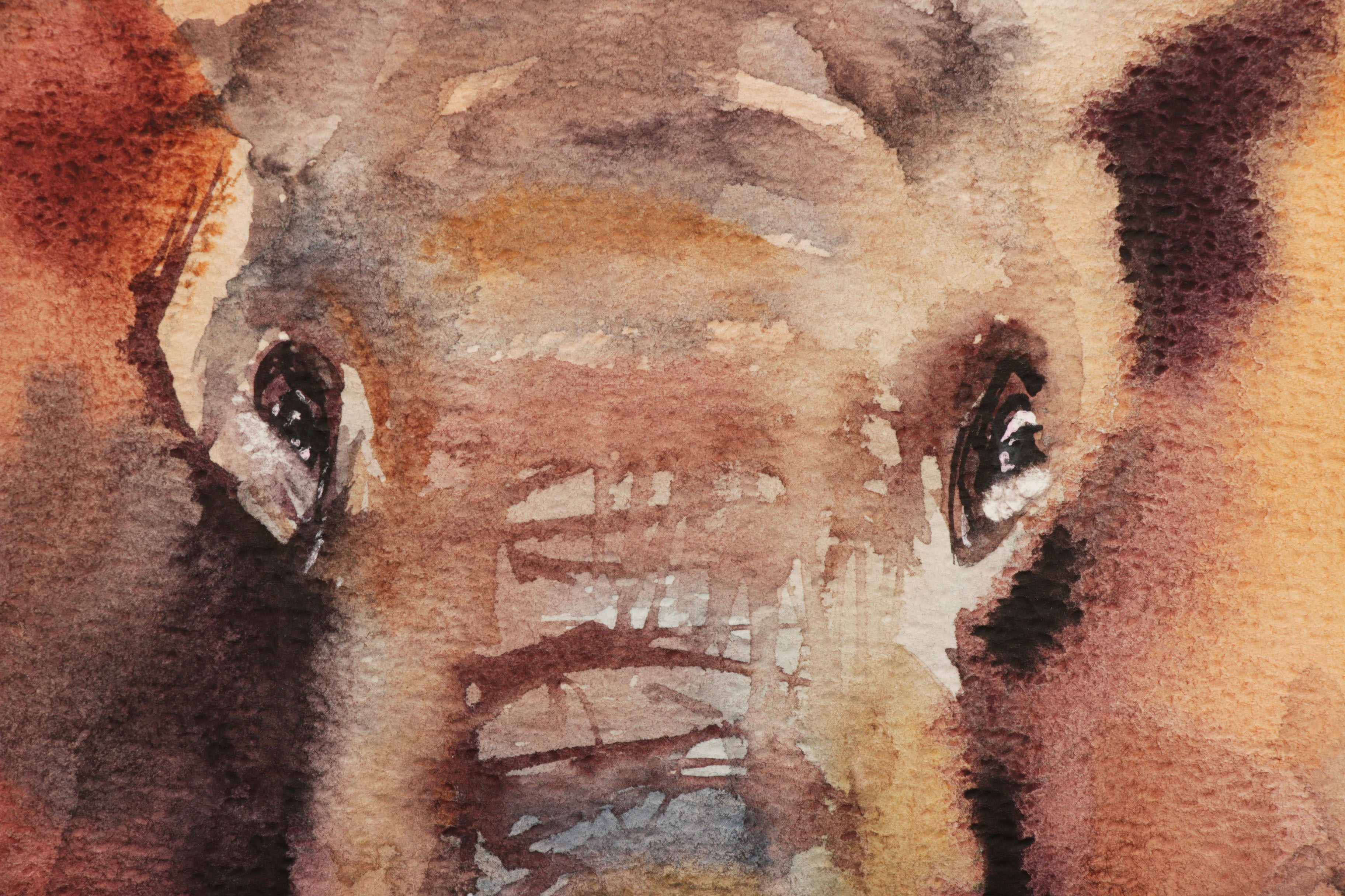 Marina Lebed Watercolor Painting of Elephant