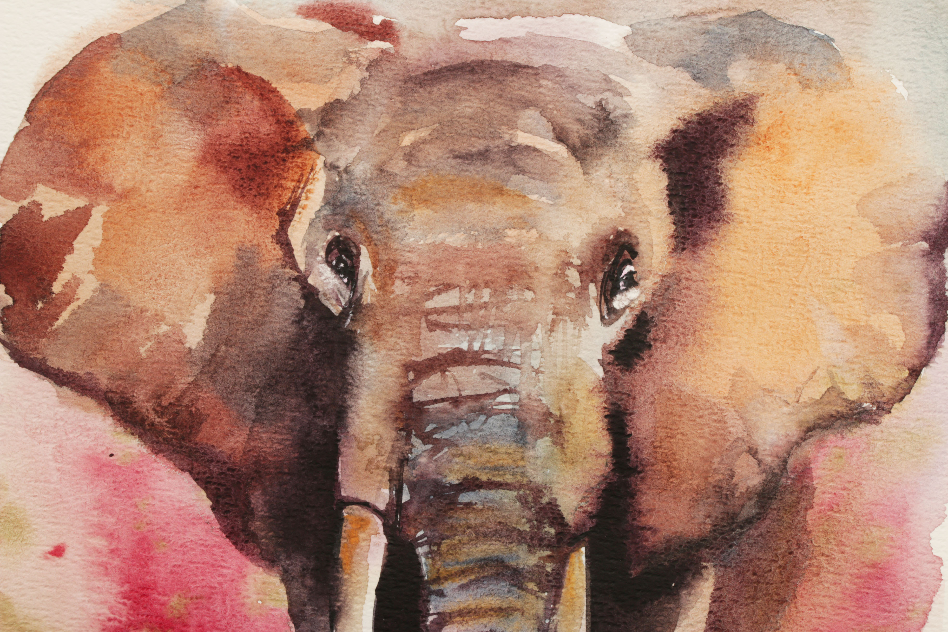 Marina Lebed Watercolor Painting of Elephant