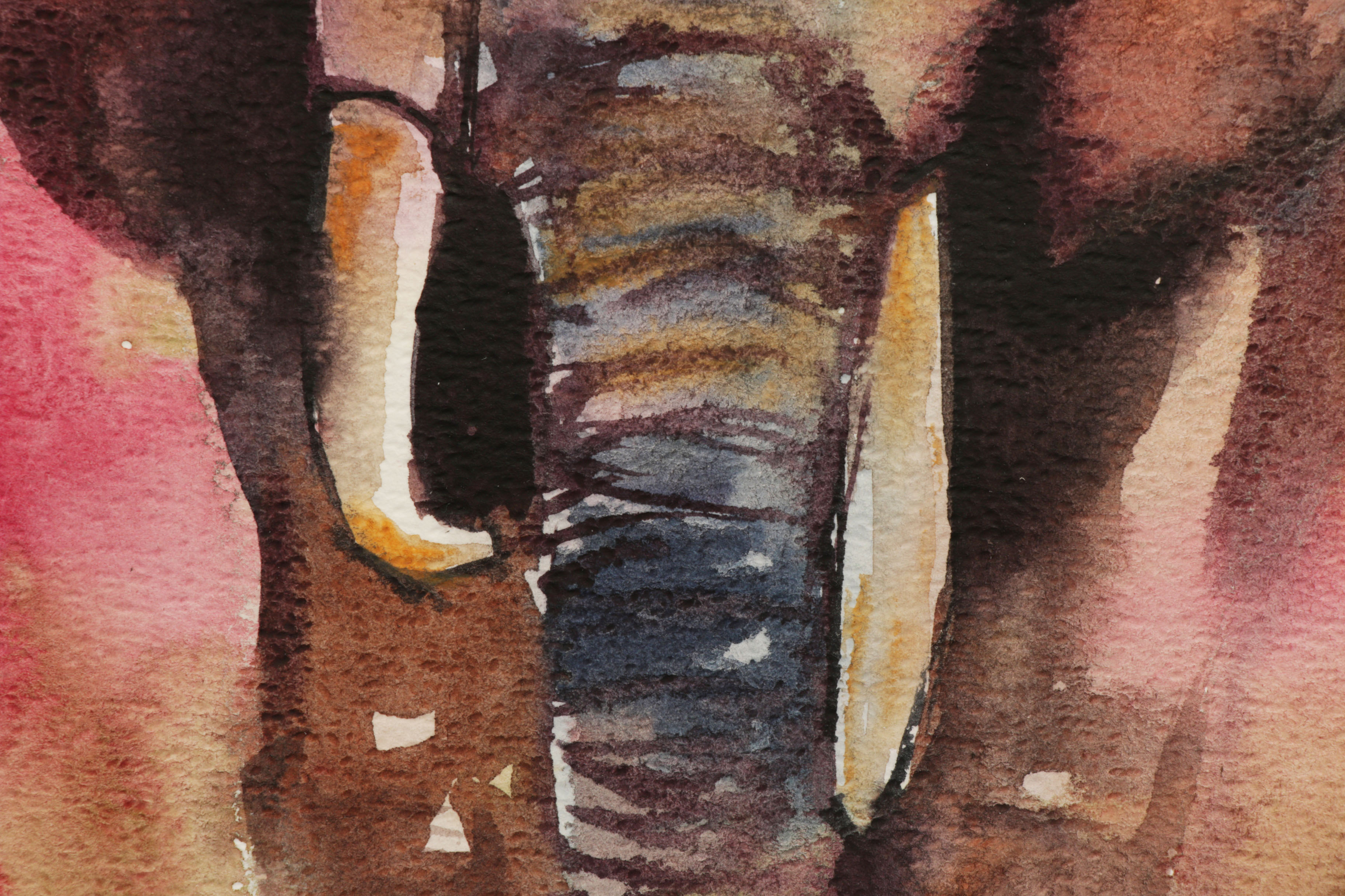 Marina Lebed Watercolor Painting of Elephant