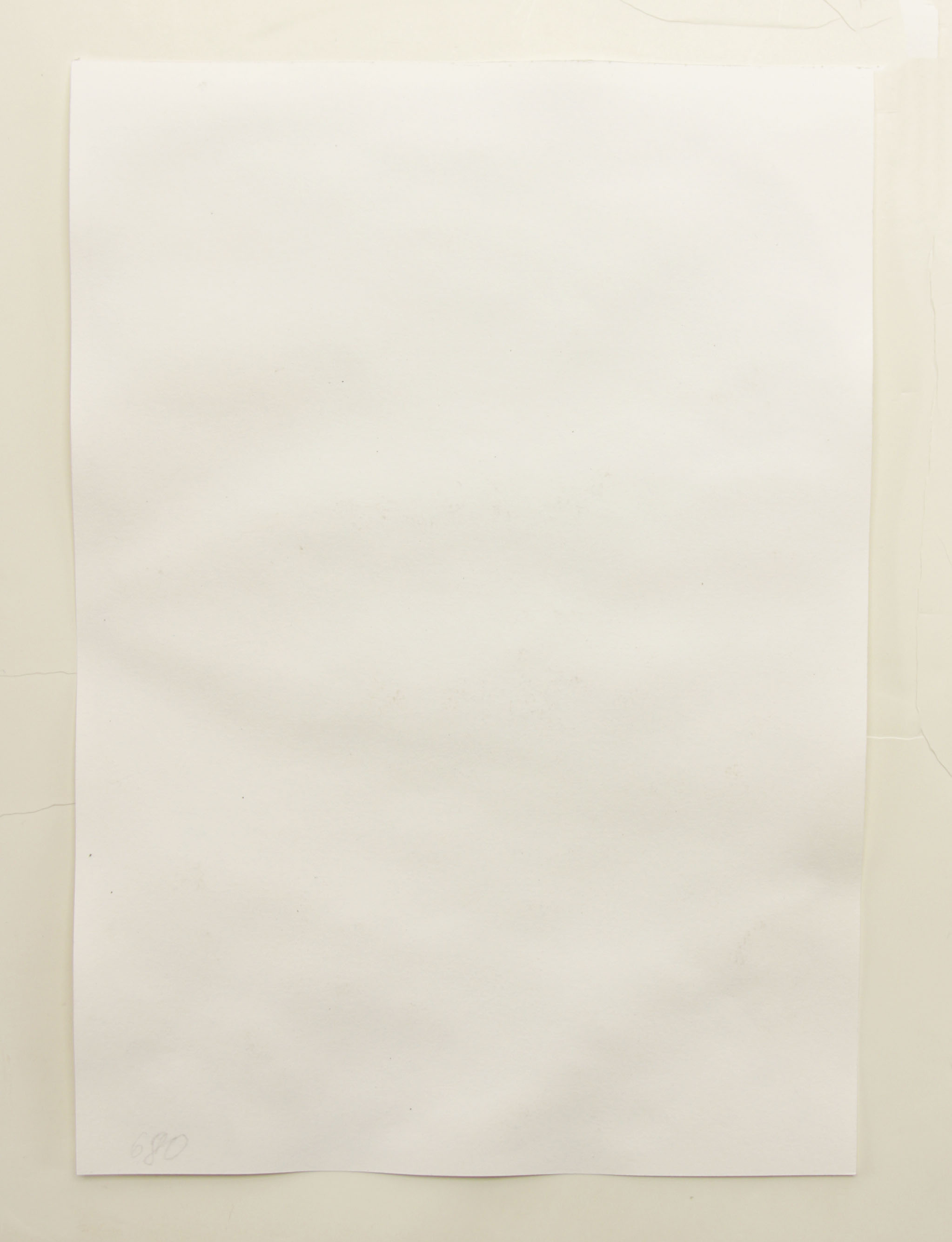 Marina Lebed Watercolor Painting of Elephant