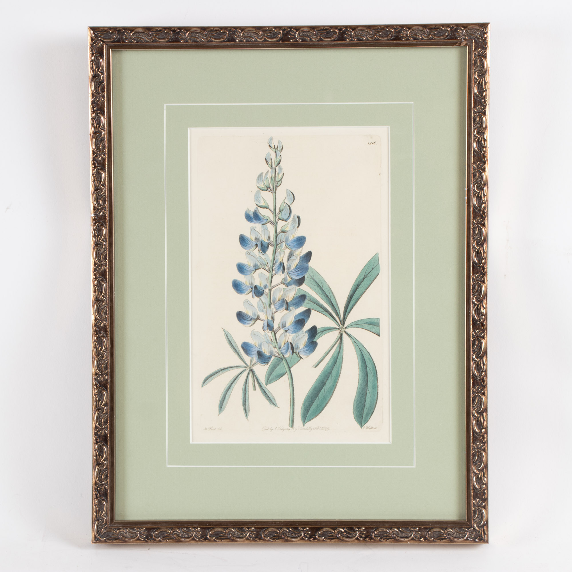 L. Watts Botanical Etchings, Early 20th Century | EBTH