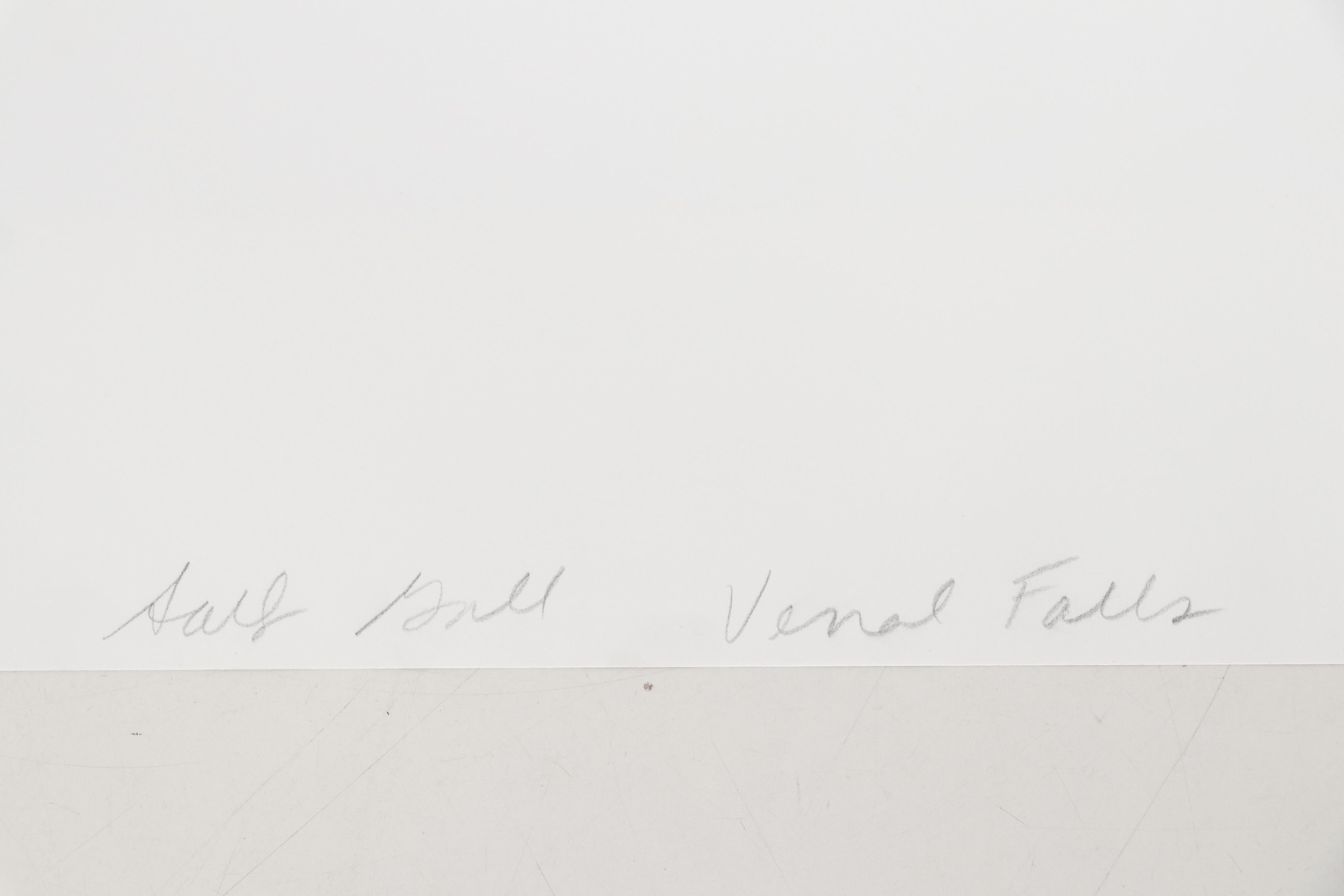 Sally Gall Silver Gelatin Photograph "Vernal Falls", 1993