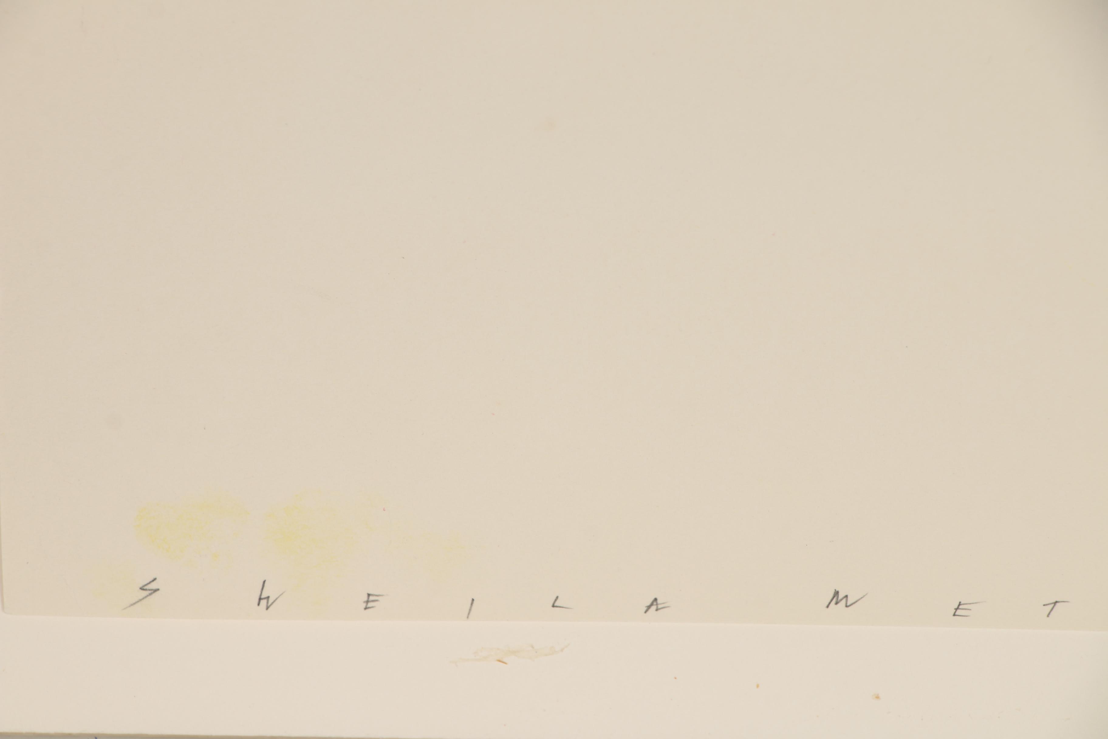 Sheila Metzner Atelier Fresson Photographic Print "Ballerina", 1984