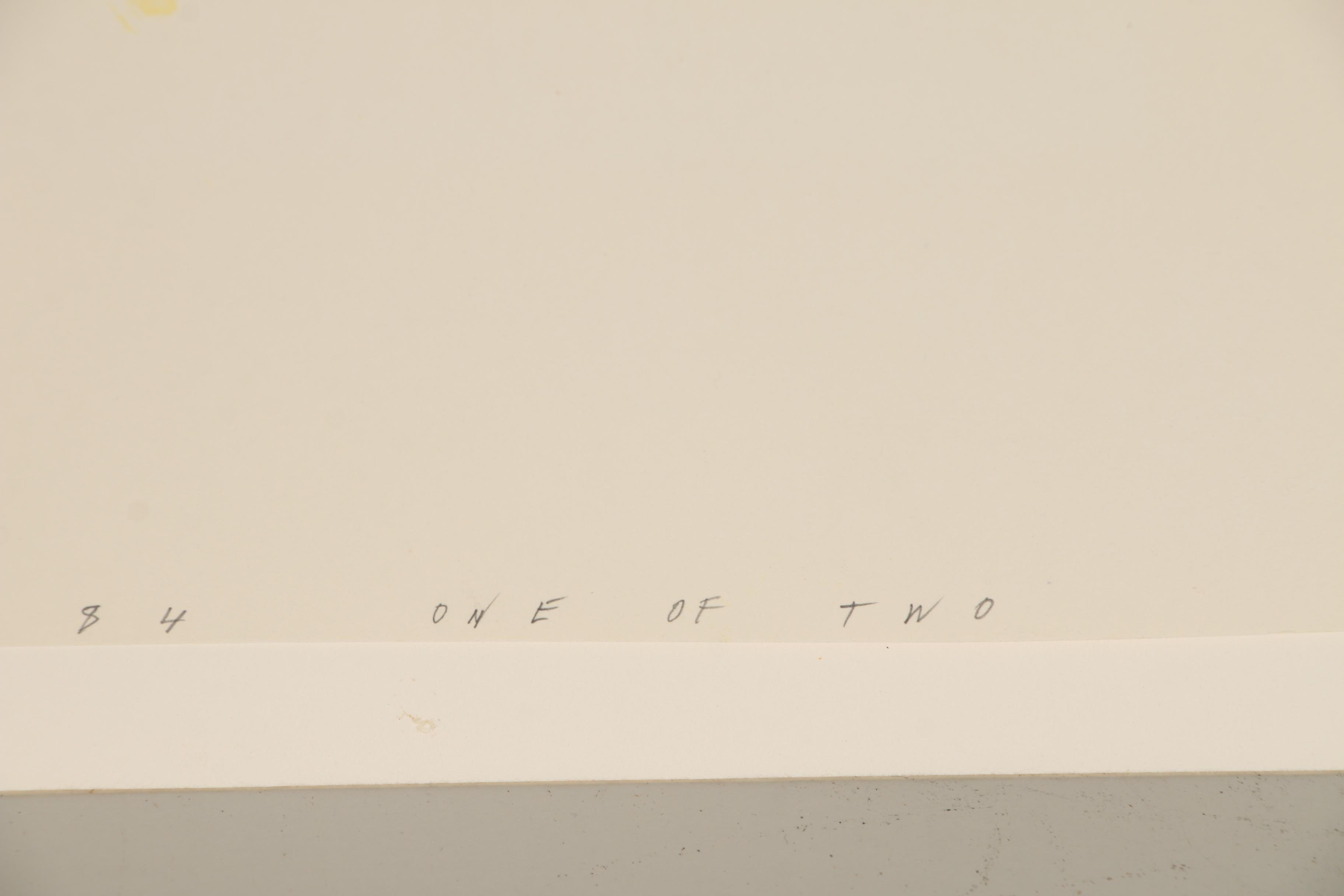 Sheila Metzner Atelier Fresson Photographic Print "Ballerina", 1984