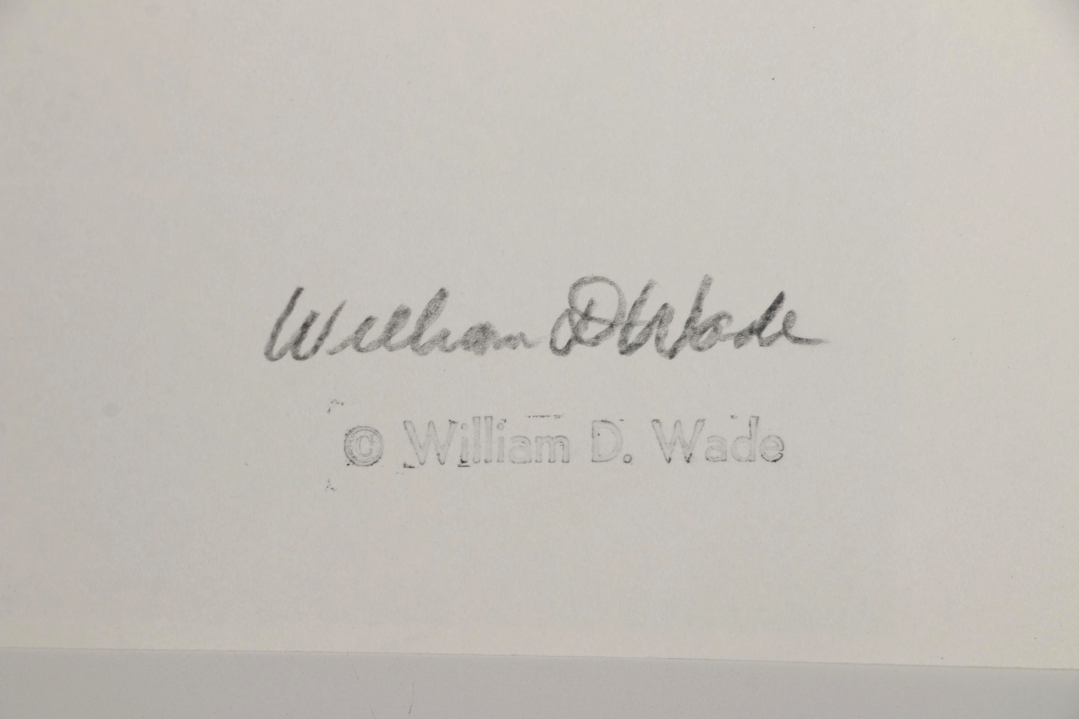 William D. Wade Digital Print Photograph "Too Much TV"