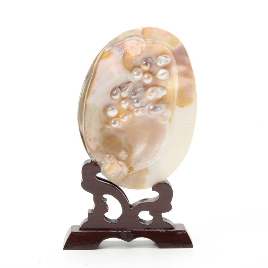Shell Specimen with Blister Pearls and Carved Wood Stand