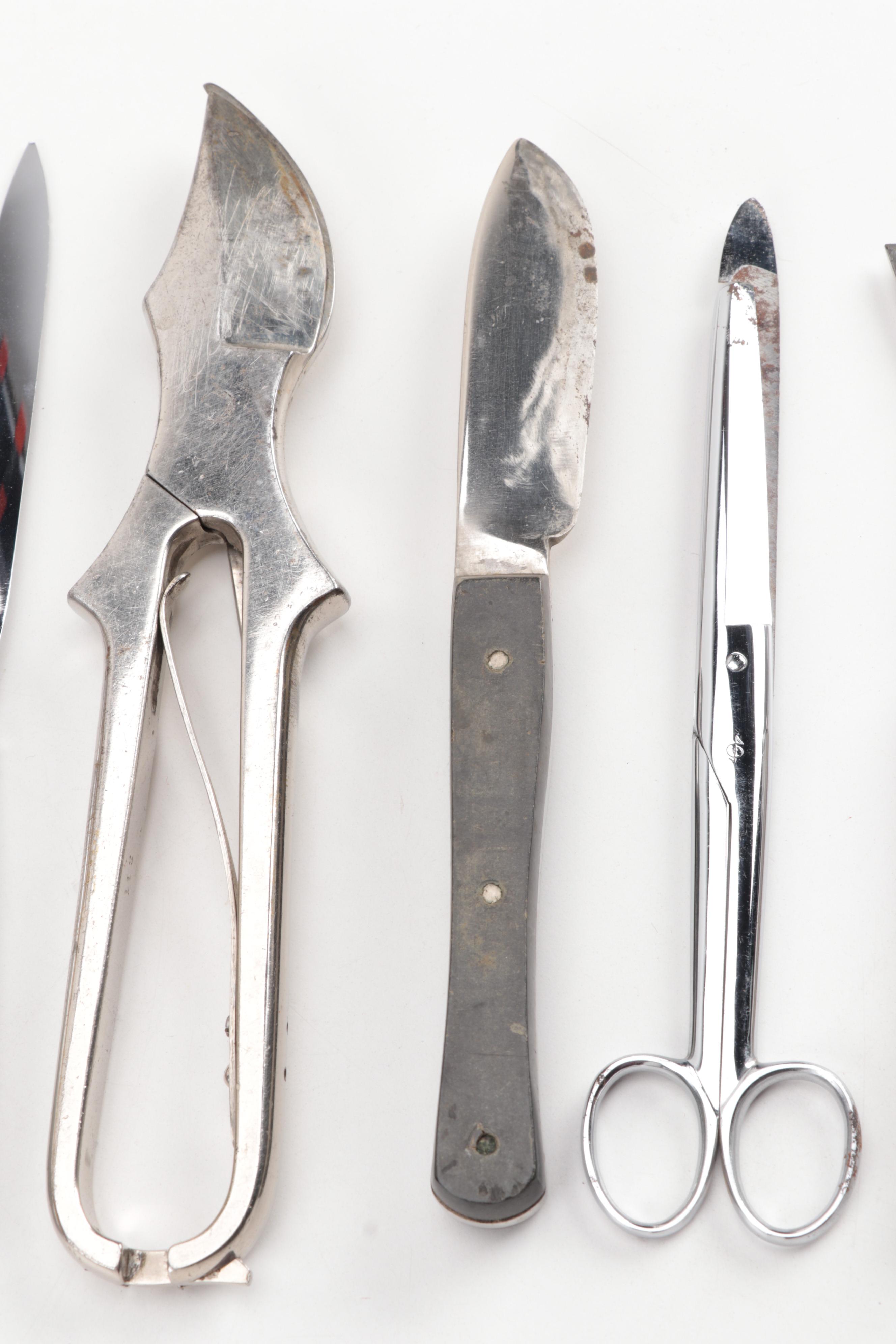 Collection of Surgical Instruments, 20th Century