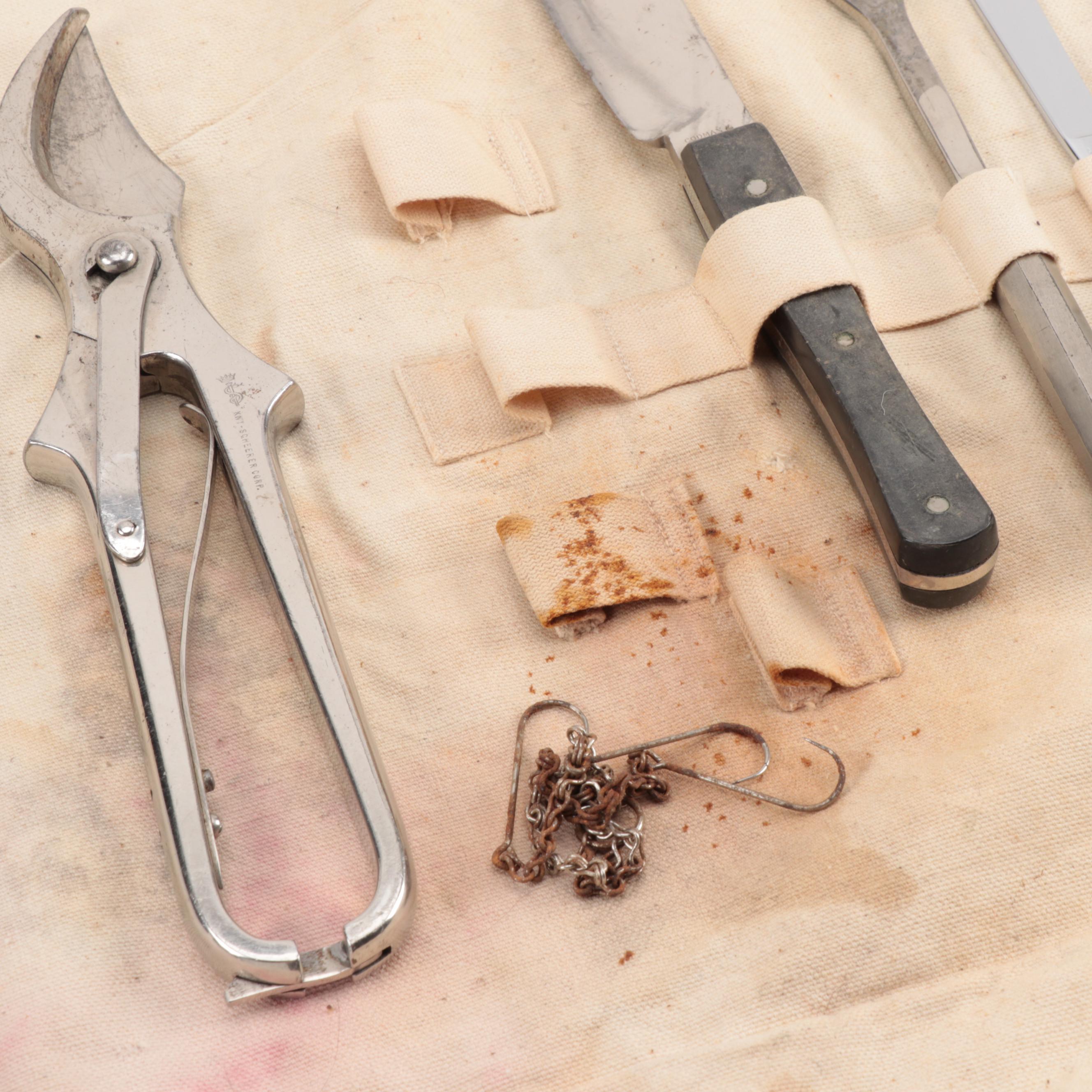 Collection of Surgical Instruments, 20th Century