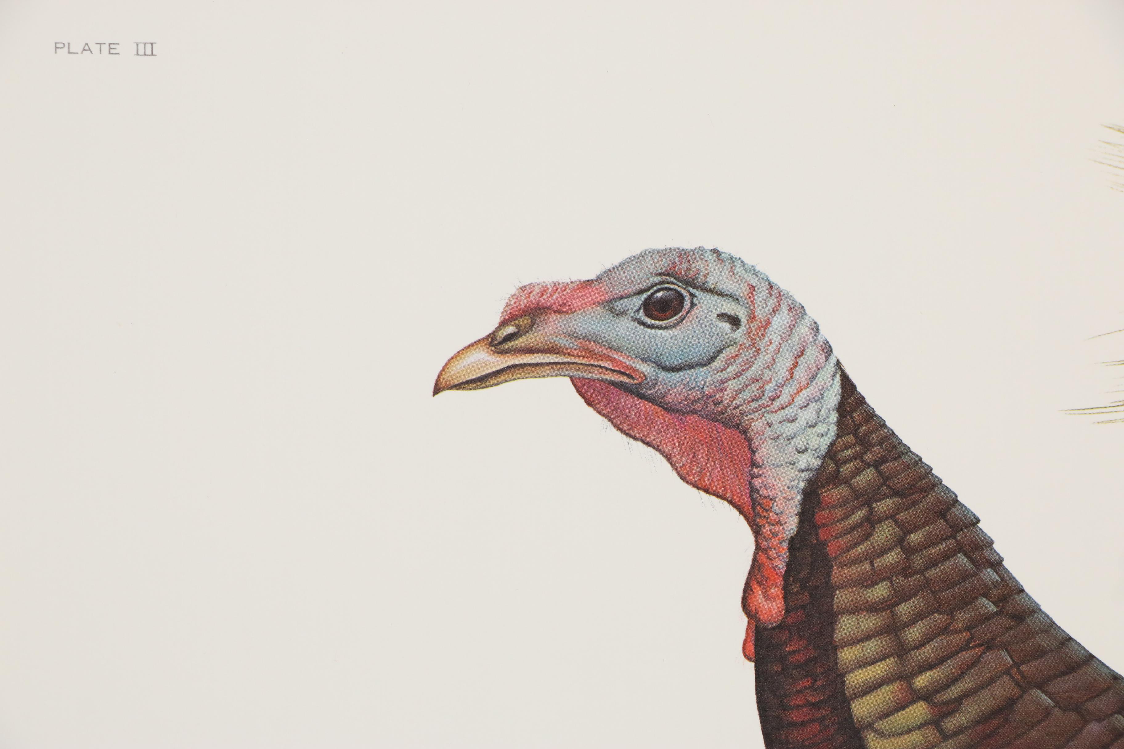 John A. Ruthven Offset Lithograph 