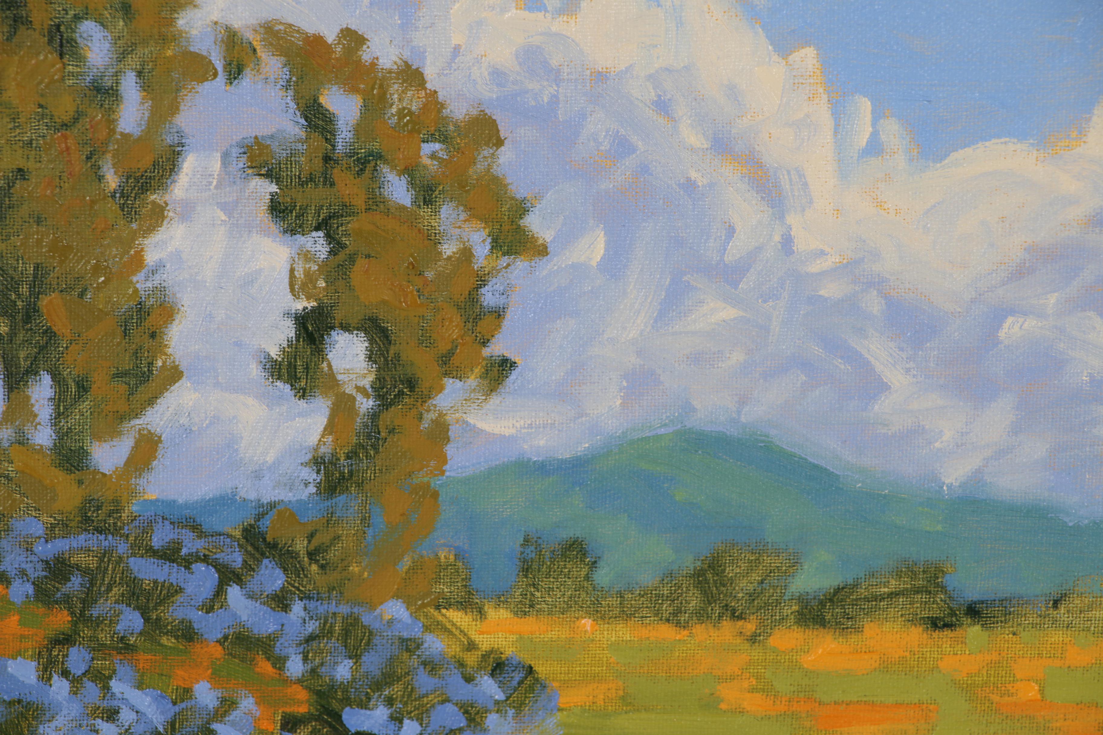 Marc A. Graison California Impressionist Oil Painting "Hillside Bloom"