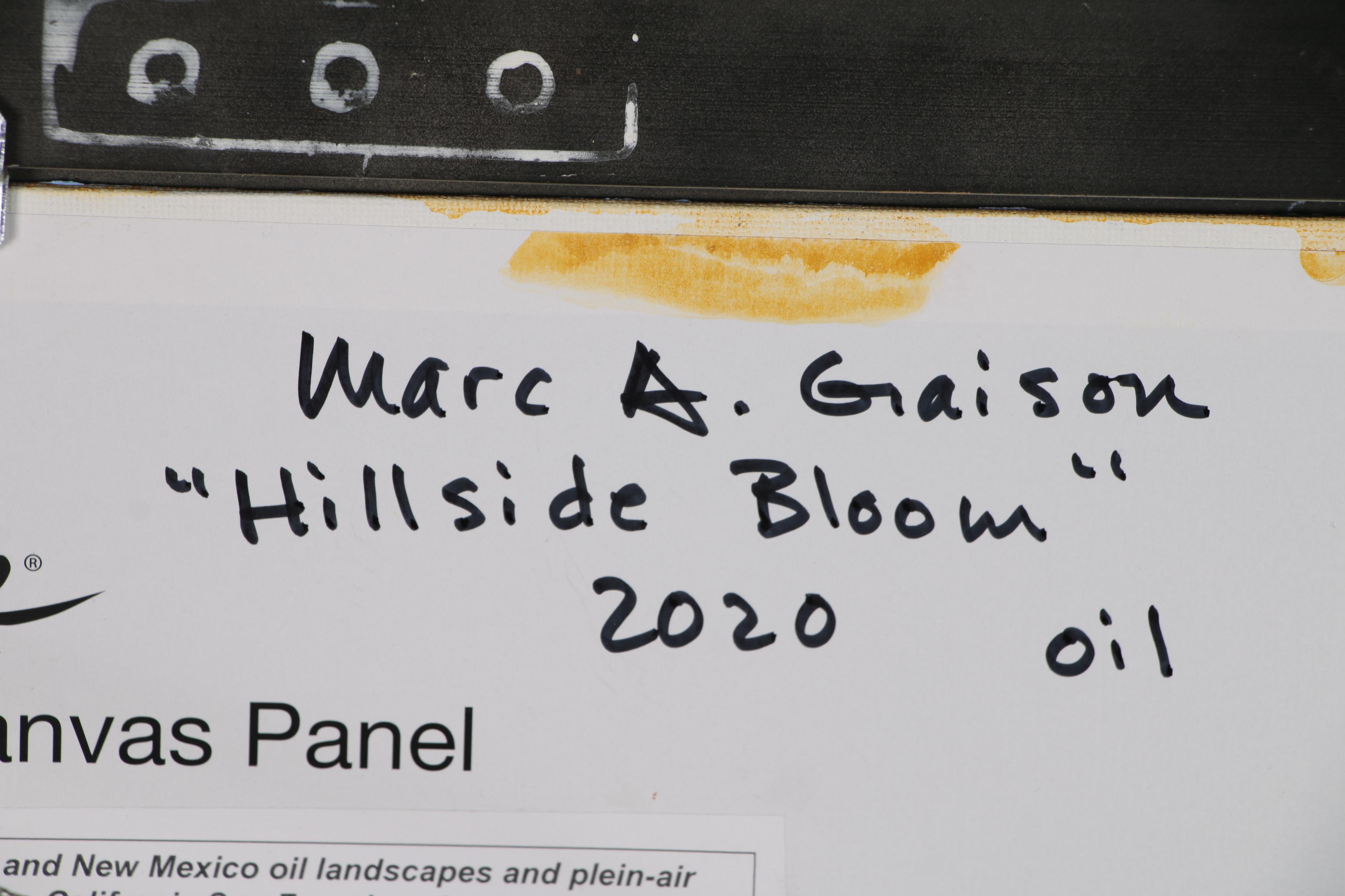 Marc A. Graison California Impressionist Oil Painting "Hillside Bloom"