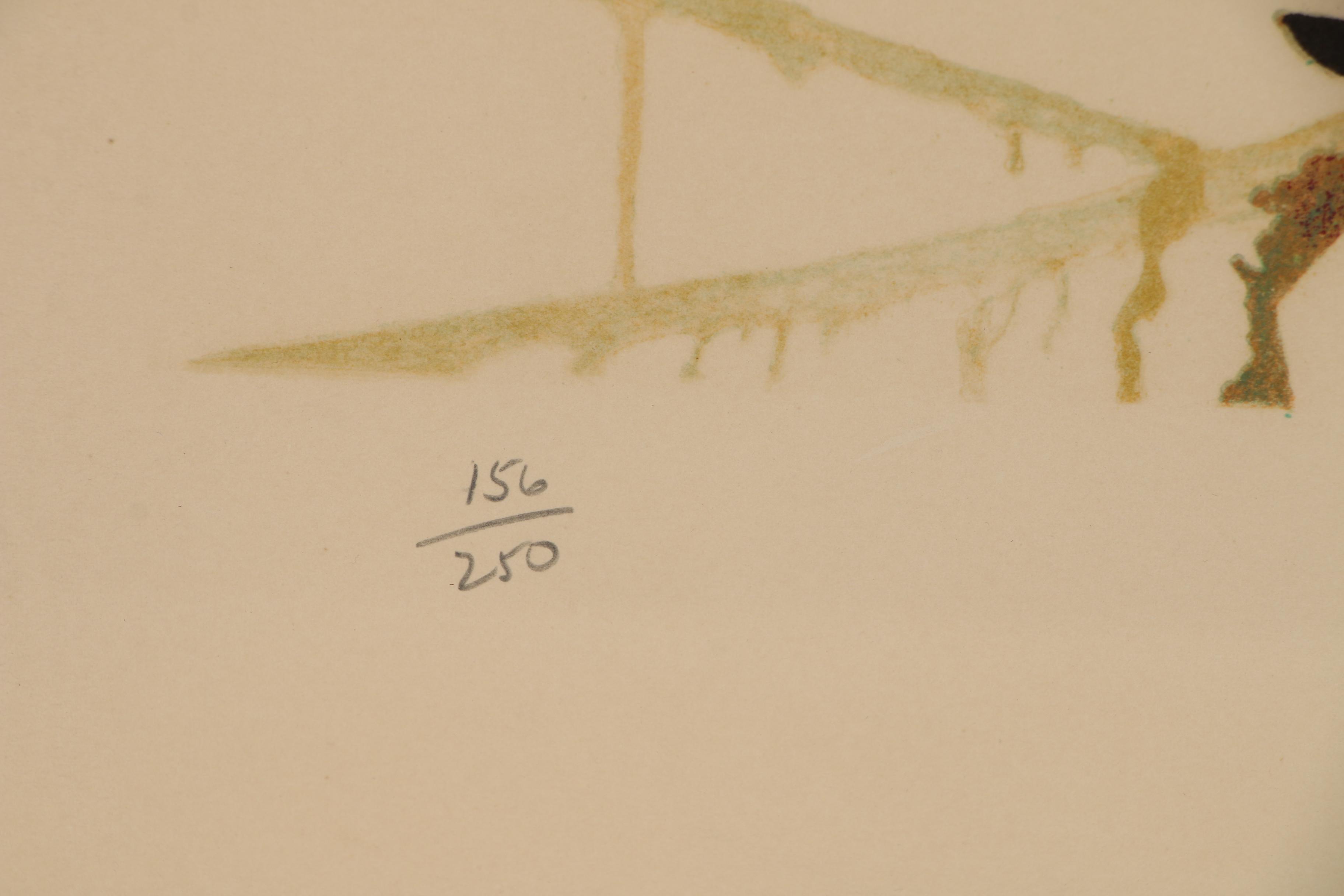 Salvador Dali Lithograph "The Wailing Wall"