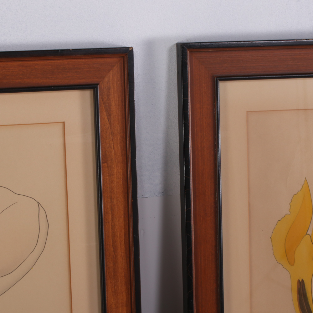 Hand-Colored Botanical Lithographs, Late 19th to Early 20th Century