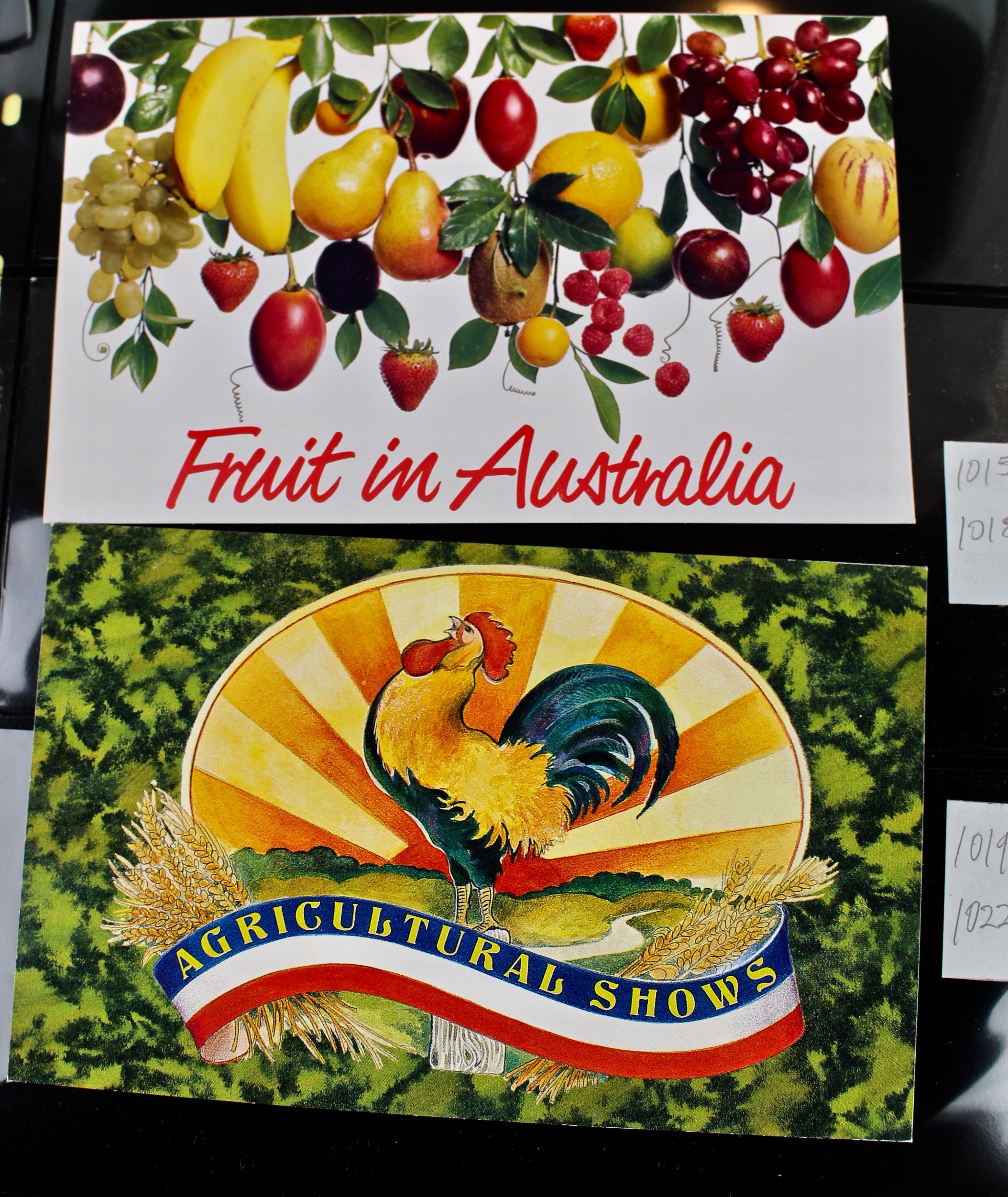 Mint Australian Stamp Collection