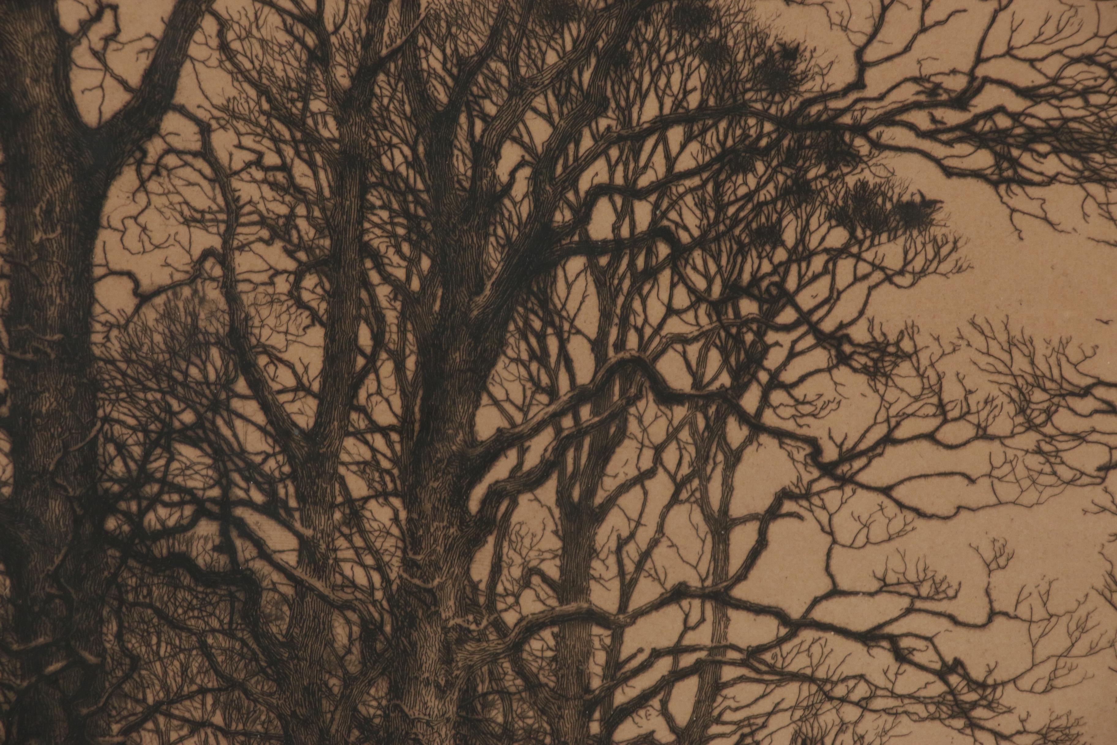 Frederick Albert Slocombe Etching "The Rookery"