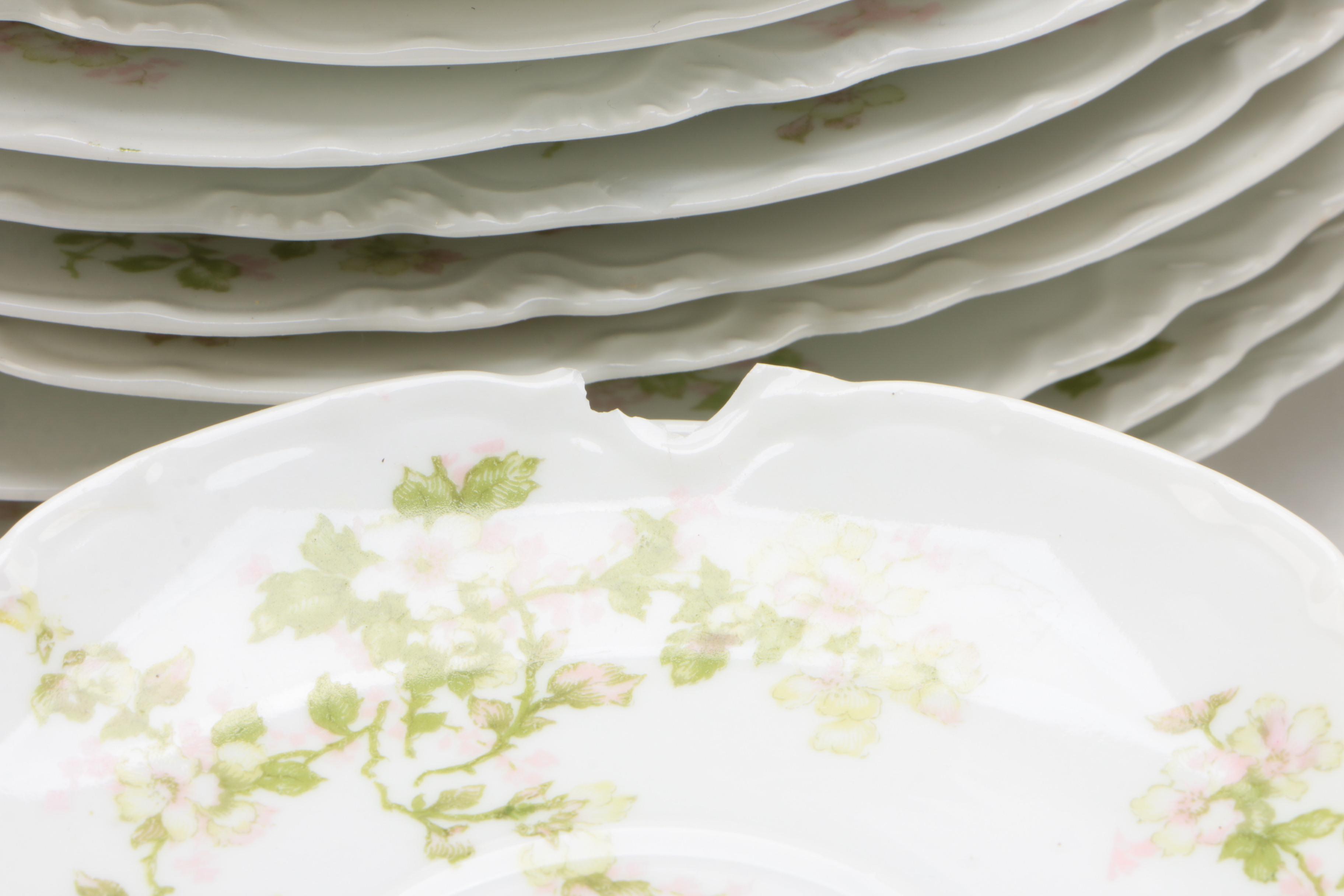 Haviland & Co. Limoges "Montebello" Porcelain Dinnerware