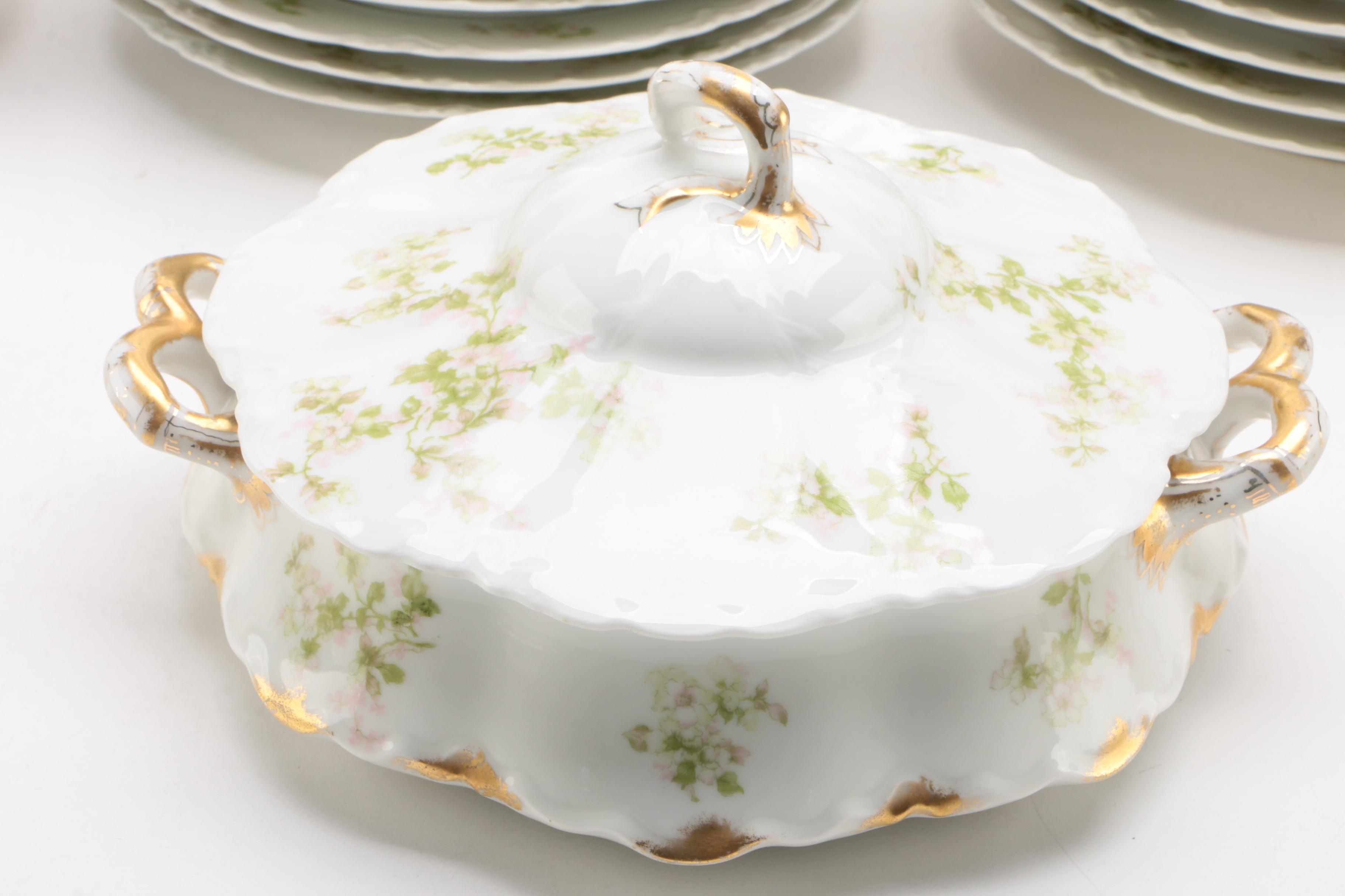 Haviland & Co. Limoges "Montebello" Porcelain Dinnerware