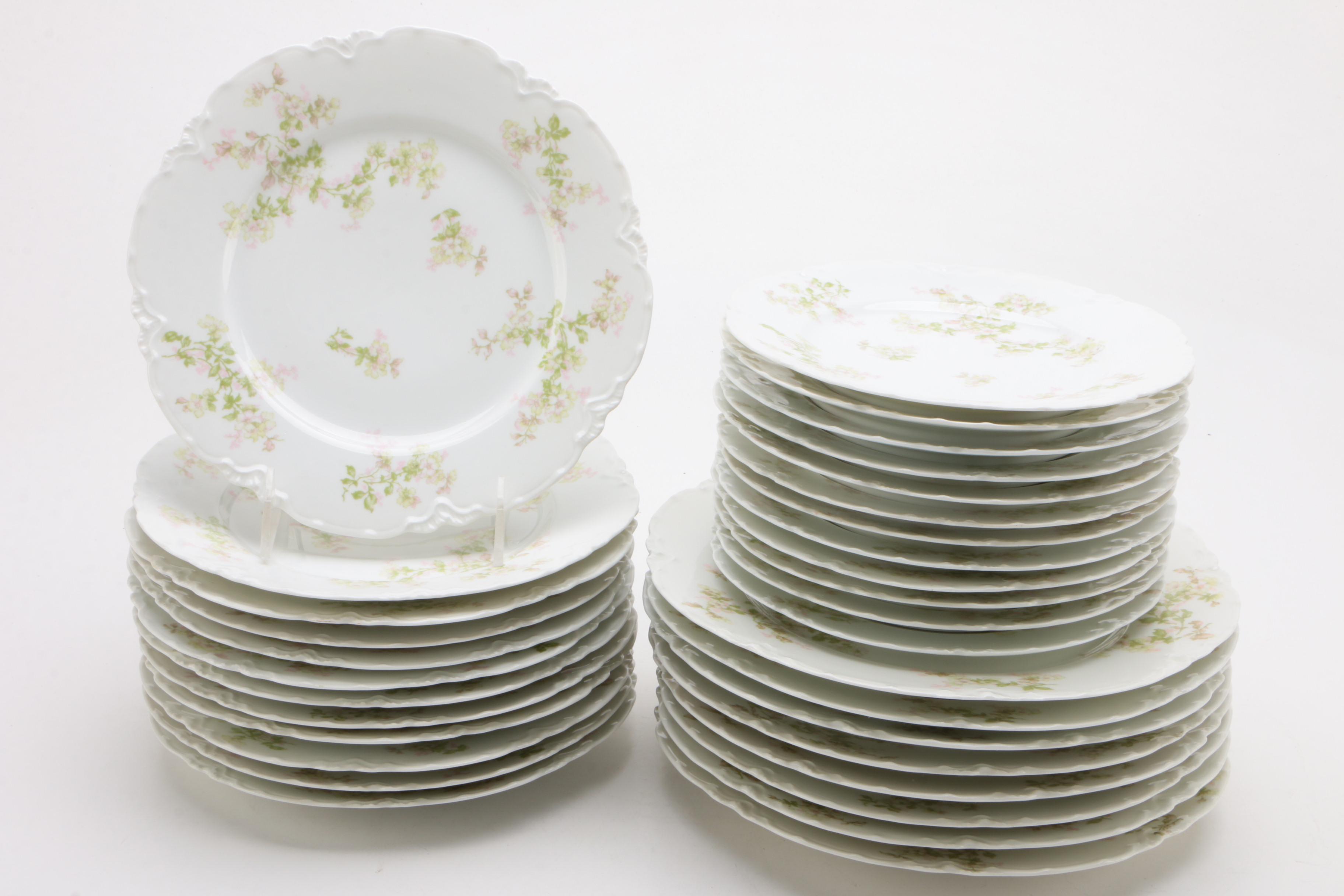 Haviland & Co. Limoges "Montebello" Porcelain Dinnerware