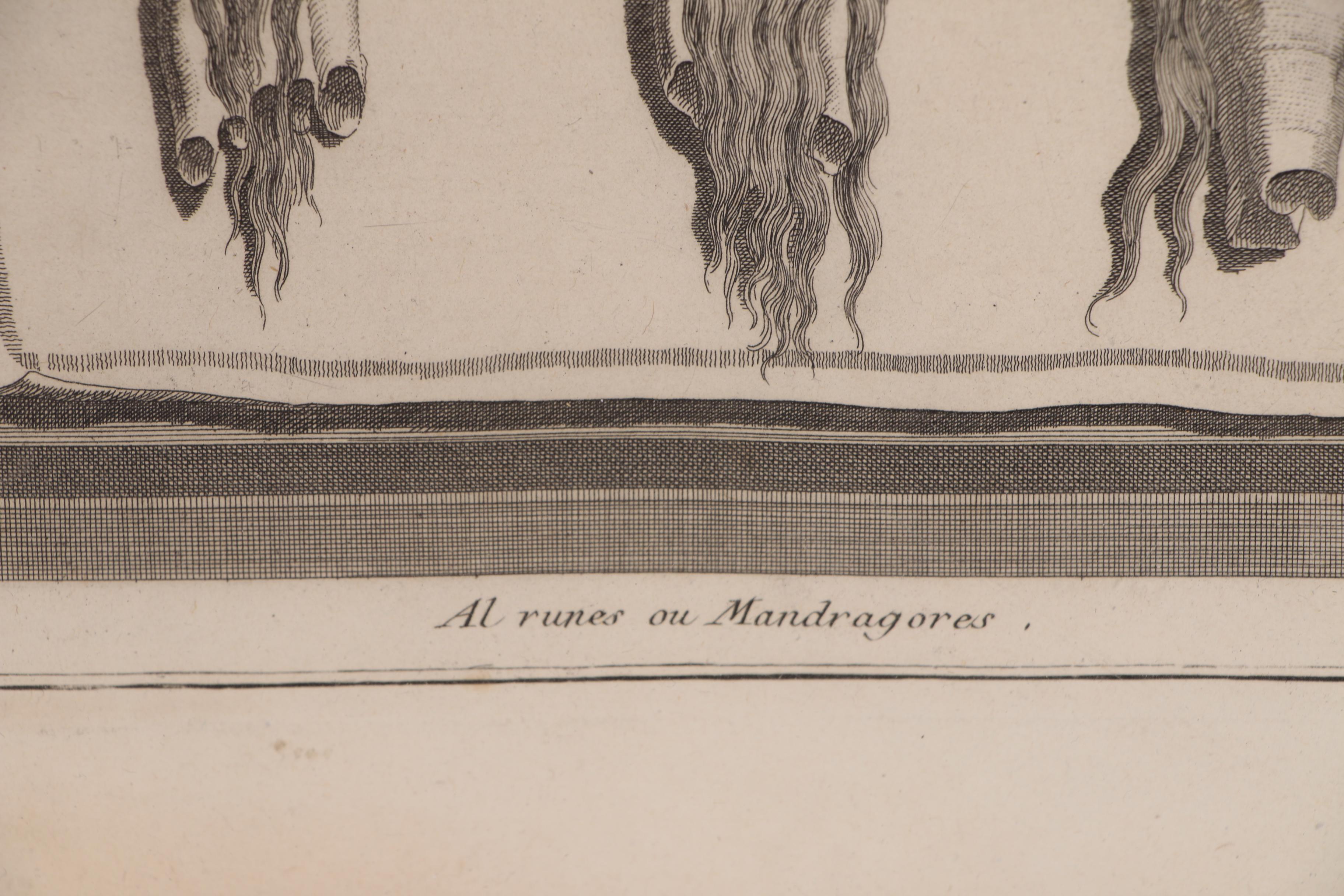 Engravings from "Cérémonies et Coutumes de Tous les Peuples du Monde", 1809