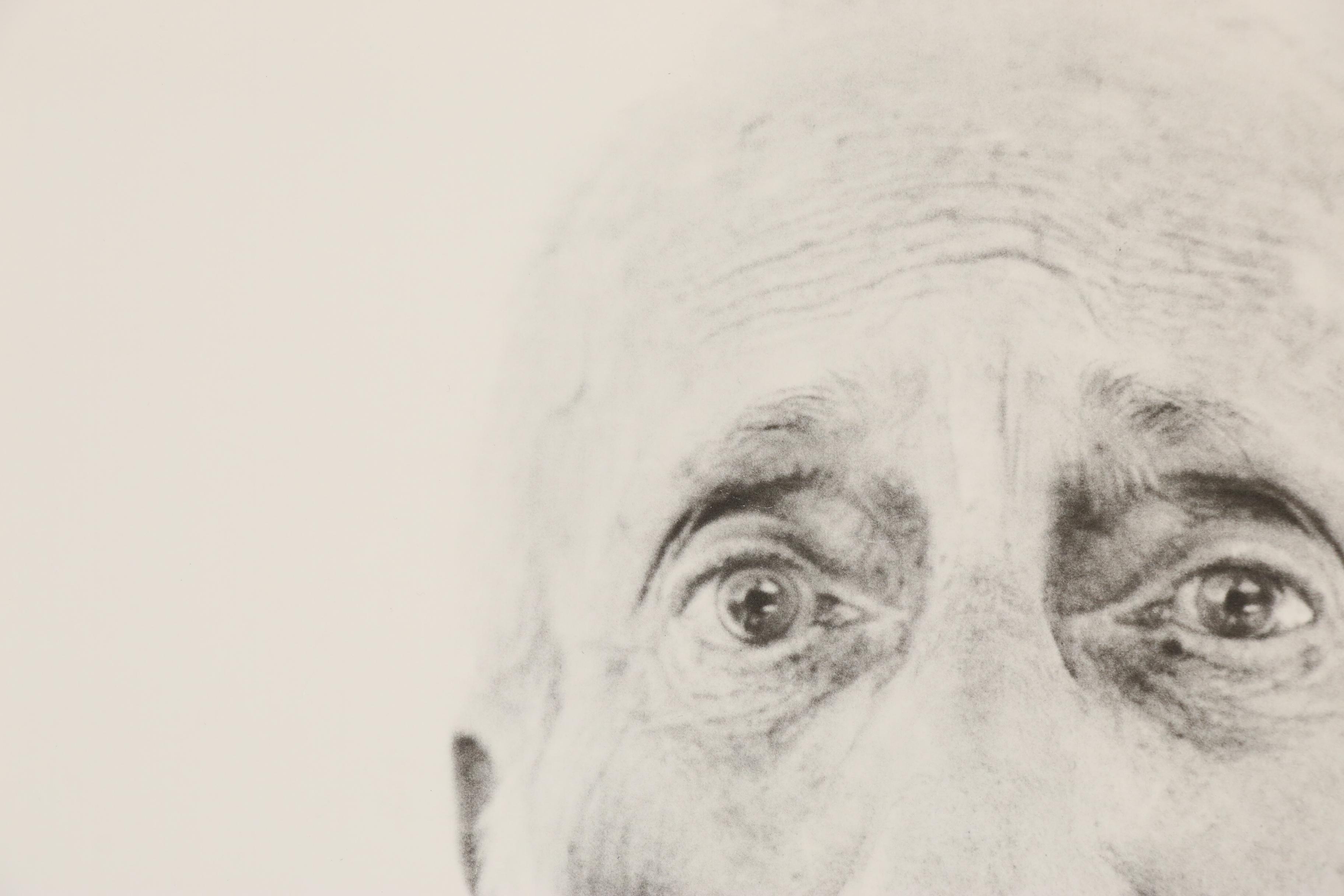 Signed Exhibition Poster for Richard Avedon, Museum of Modern Art, 1974