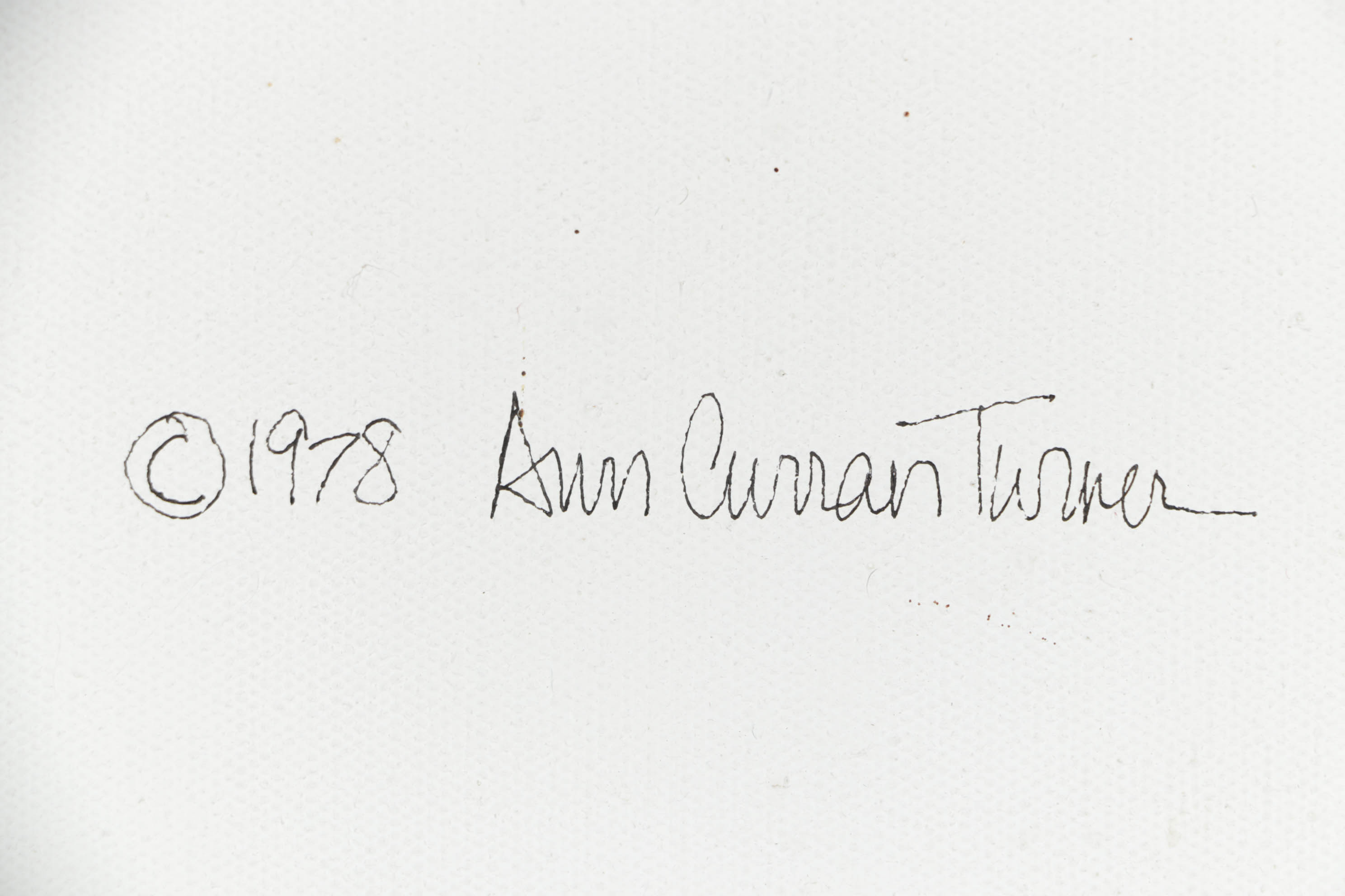 Ann Curran Turner Female Seated Portrait Oil Painting