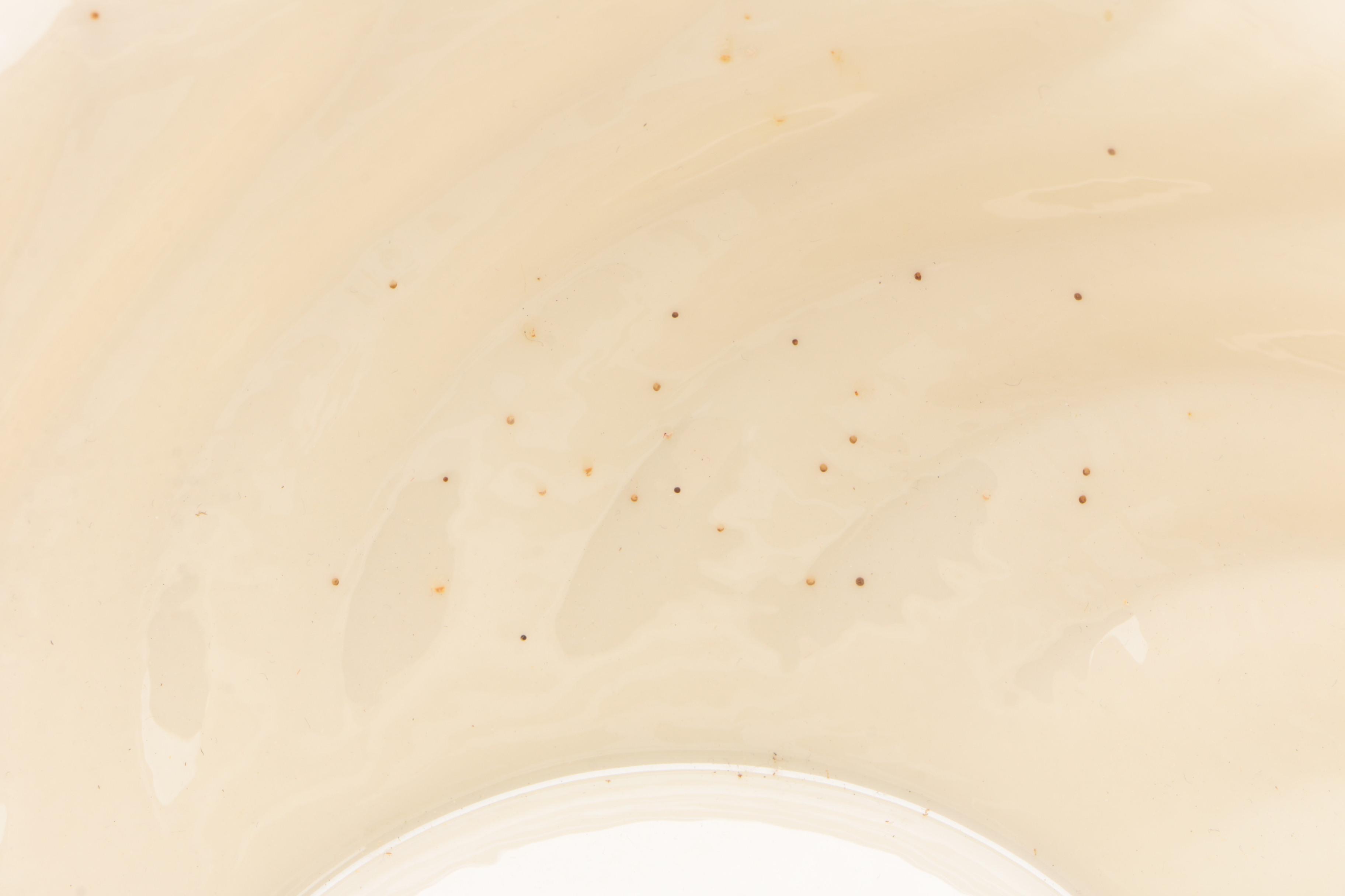 Lenox Ambassador Collection "Jewels Sapphire" Dinner Plates with Serving Bowl