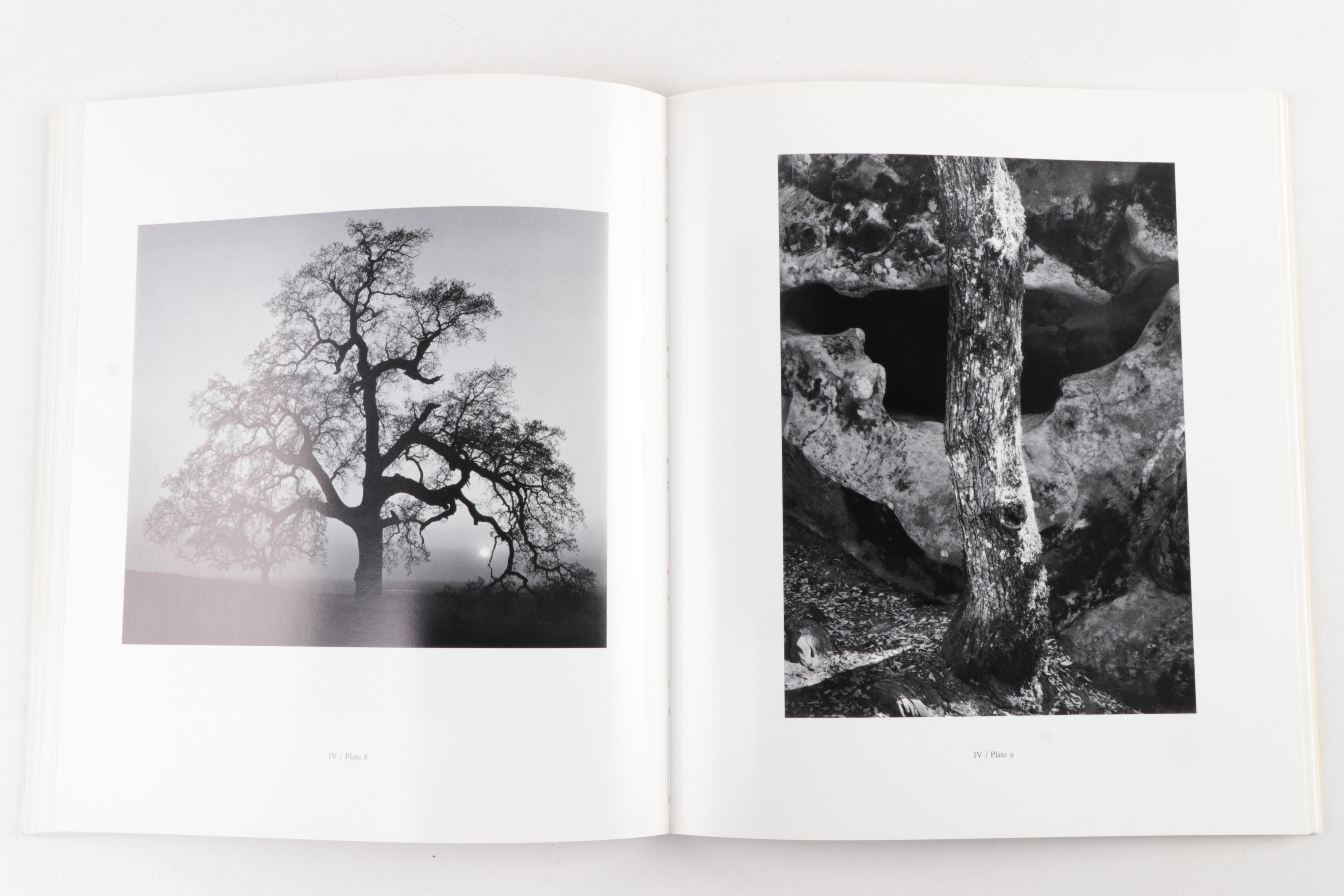 Art Books Including Ansel Adams, Frank Lloyd Wright, and Georgia O'Keeffe