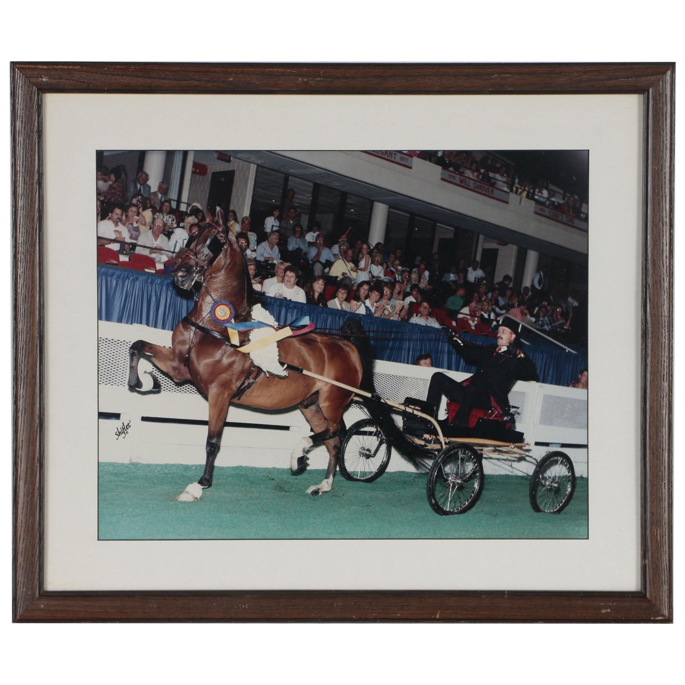 Doug Shiflet Photography Color Photograph of Harness Racing EBTH