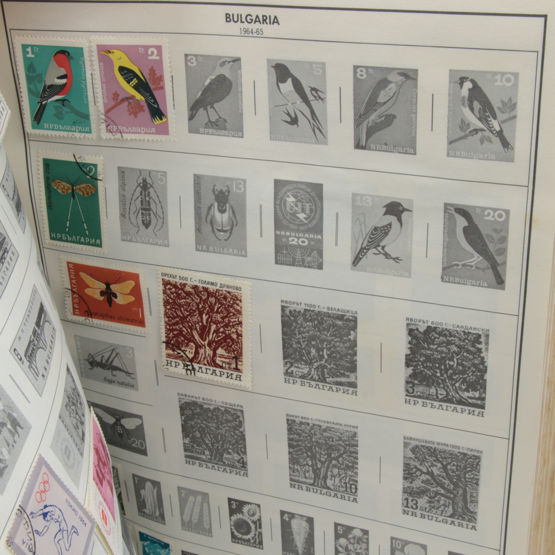 Standard World Stamp, Senior Statesman and Citation Stamp Albums