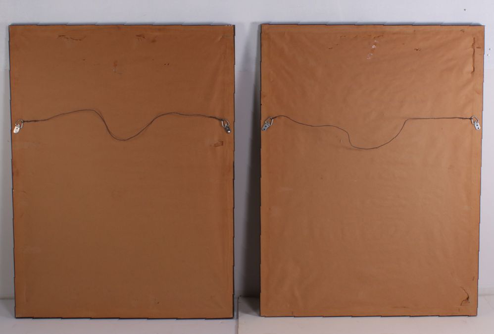 Hand-Colored Botanical Lithographs, Late 19th to Early 20th Century