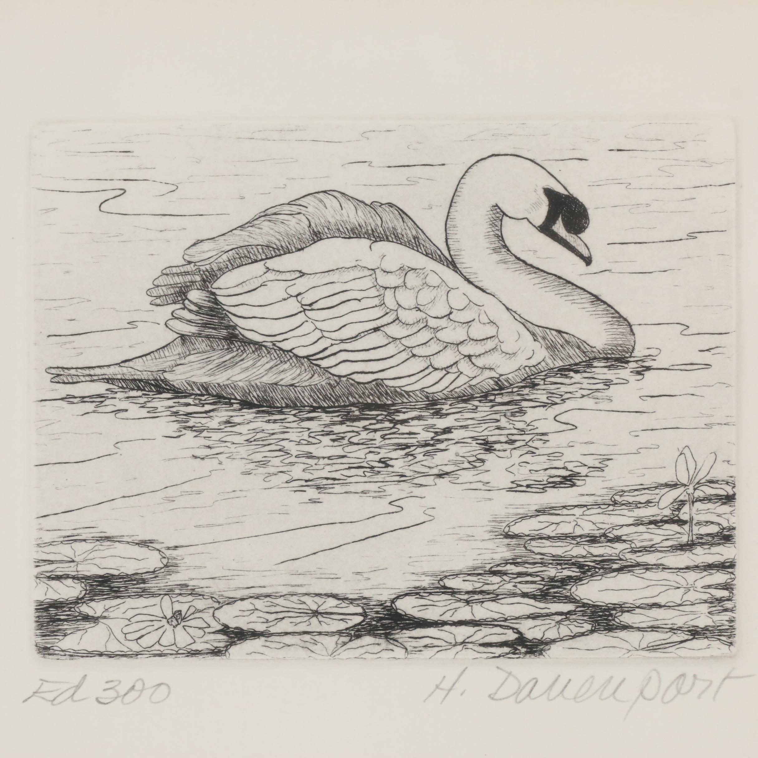 Houlgate Davenport Etching of Swan