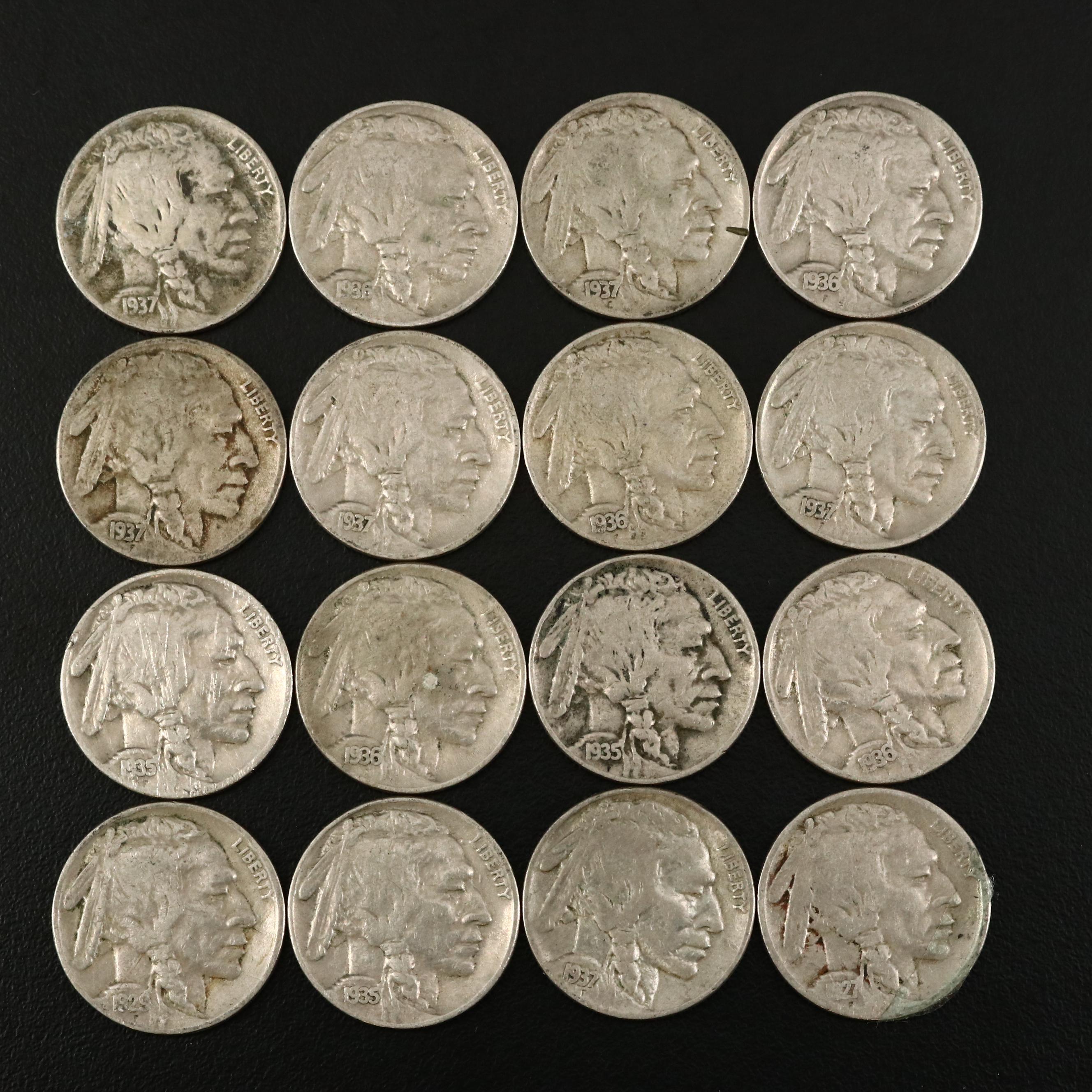 Vintage Buffalo Nickel Collection