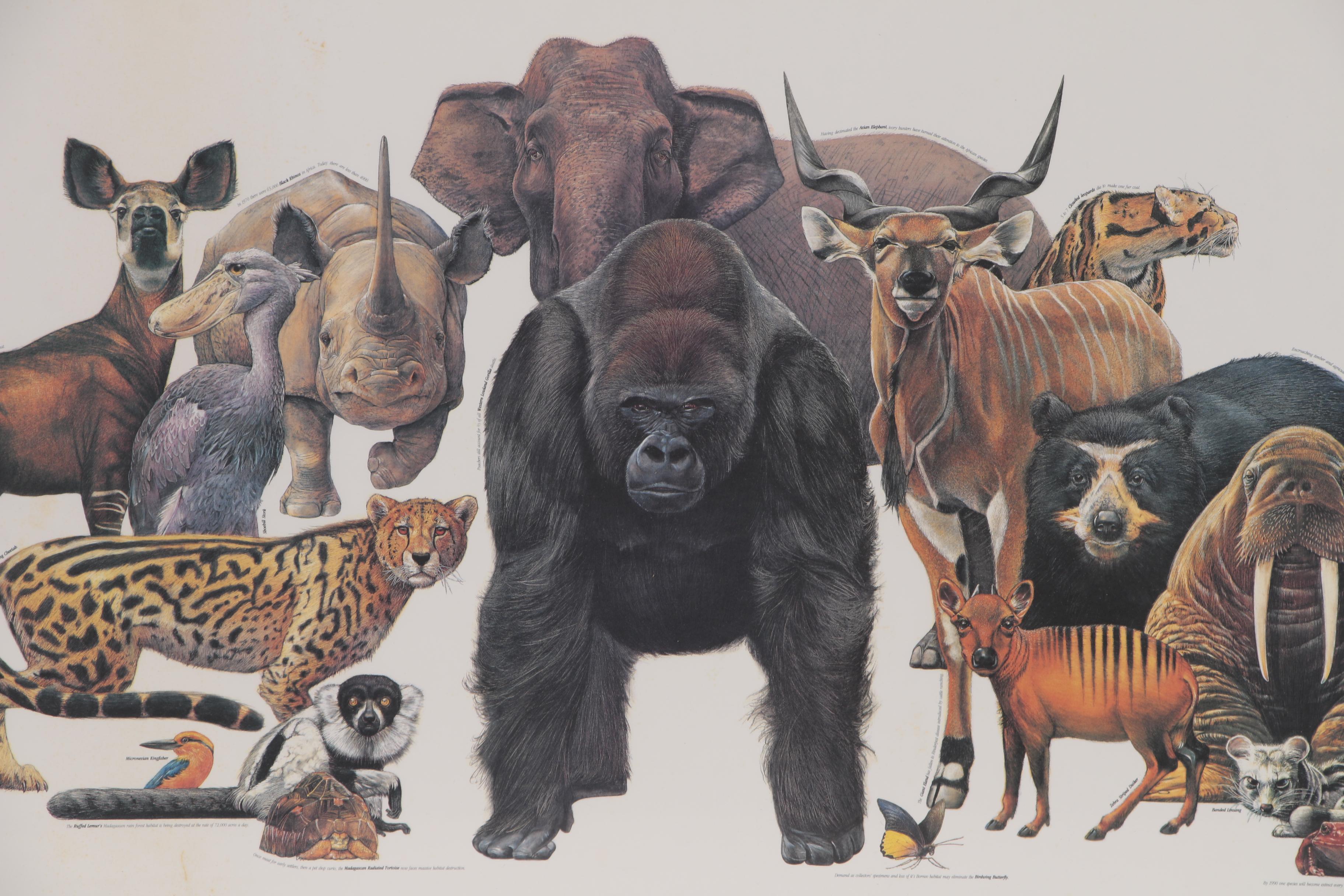 Cincinnati Zoo and Botanical Garden Offset Lithograph Poster